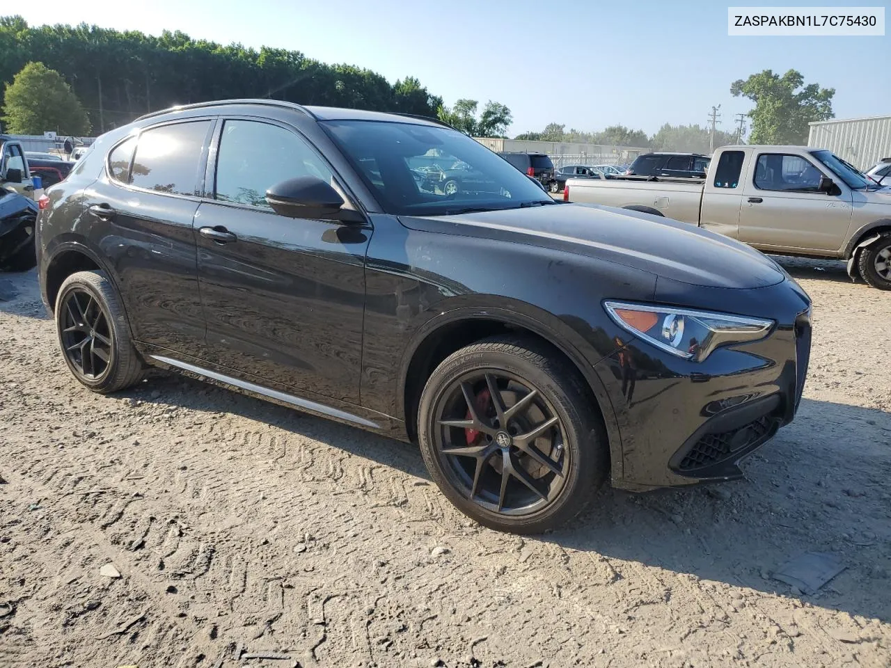 2020 Alfa Romeo Stelvio Ti VIN: ZASPAKBN1L7C75430 Lot: 59053444