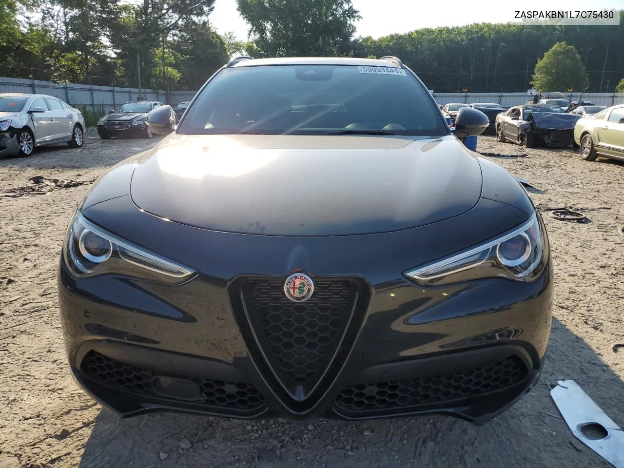 2020 Alfa Romeo Stelvio Ti VIN: ZASPAKBN1L7C75430 Lot: 59053444