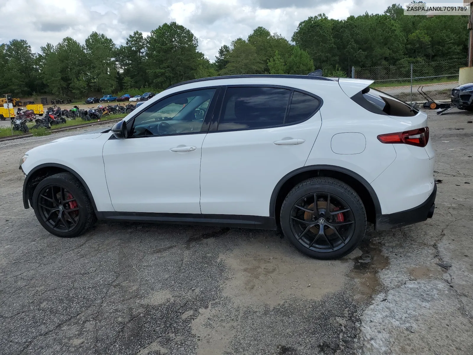 2020 Alfa Romeo Stelvio VIN: ZASPAJAN0L7C91789 Lot: 64746604