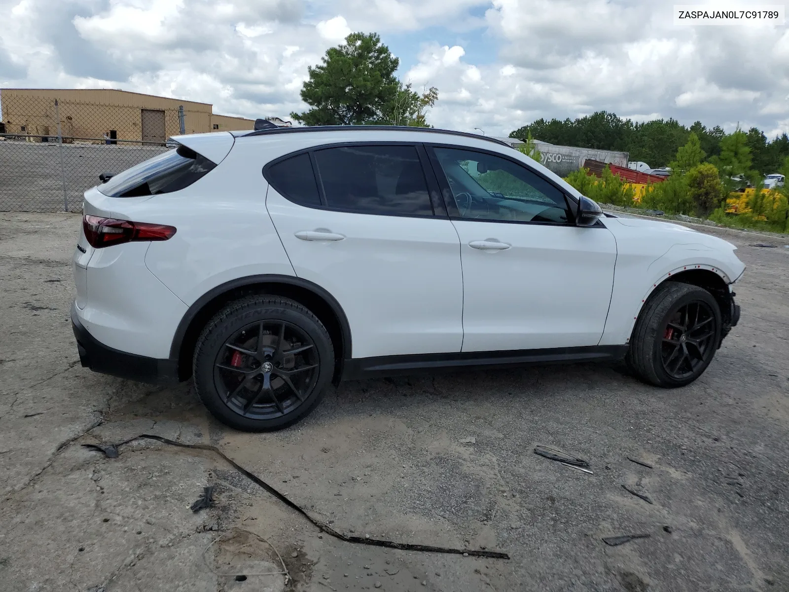 2020 Alfa Romeo Stelvio VIN: ZASPAJAN0L7C91789 Lot: 64746604