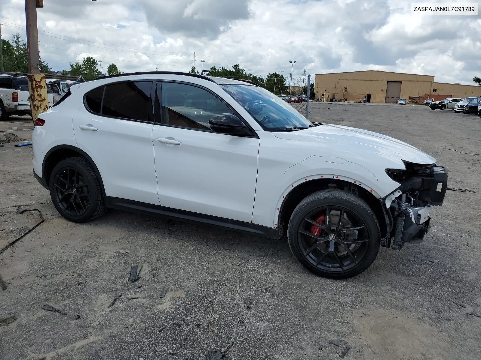 2020 Alfa Romeo Stelvio VIN: ZASPAJAN0L7C91789 Lot: 64746604