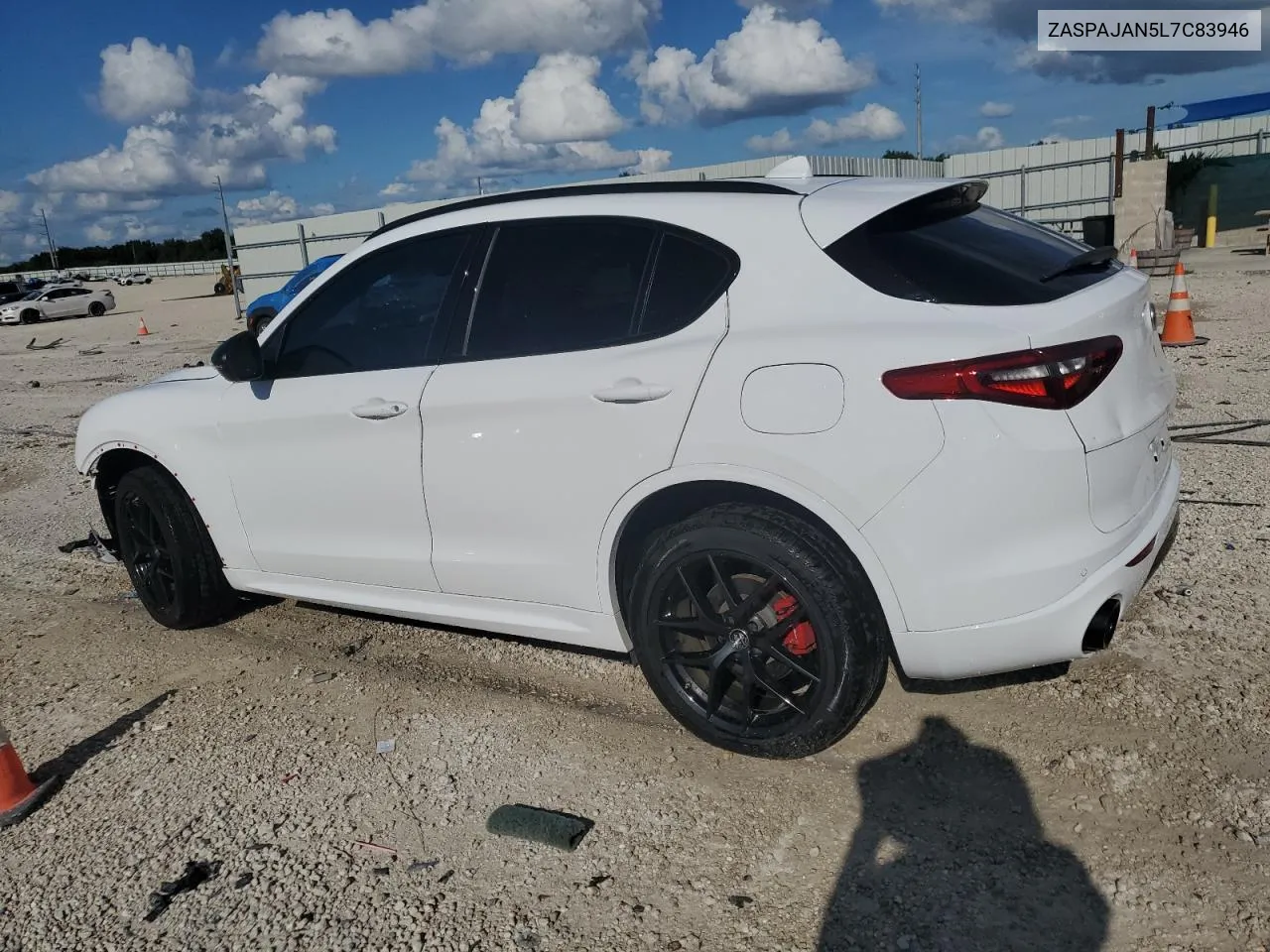 2020 Alfa Romeo Stelvio VIN: ZASPAJAN5L7C83946 Lot: 72950044