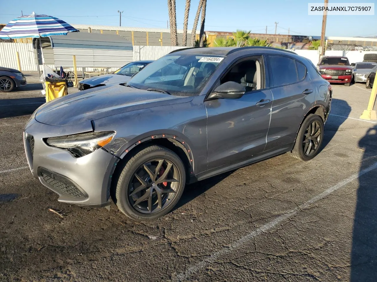 2020 Alfa Romeo Stelvio VIN: ZASPAJANXL7C75907 Lot: 77164204