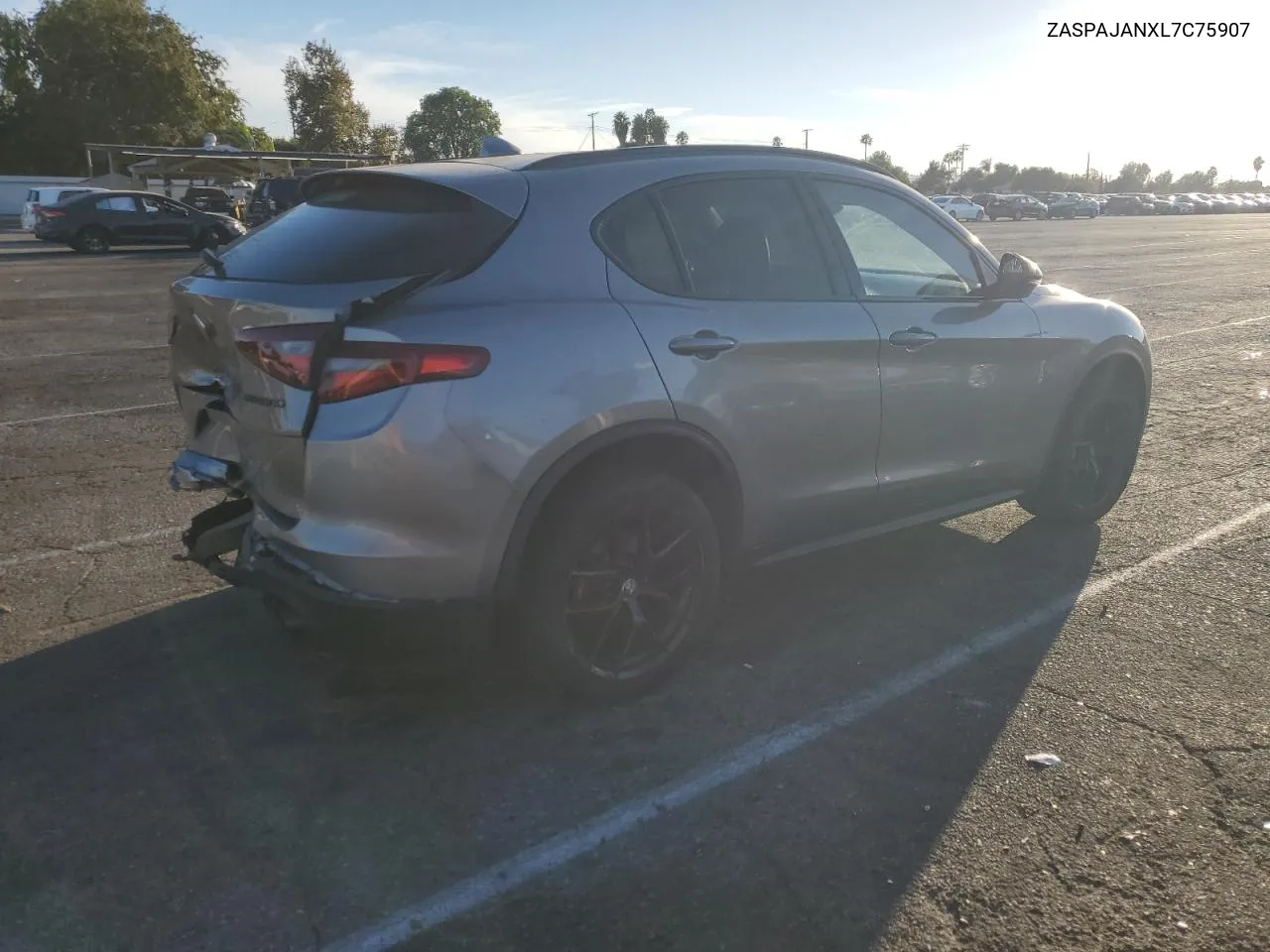 2020 Alfa Romeo Stelvio VIN: ZASPAJANXL7C75907 Lot: 77164204