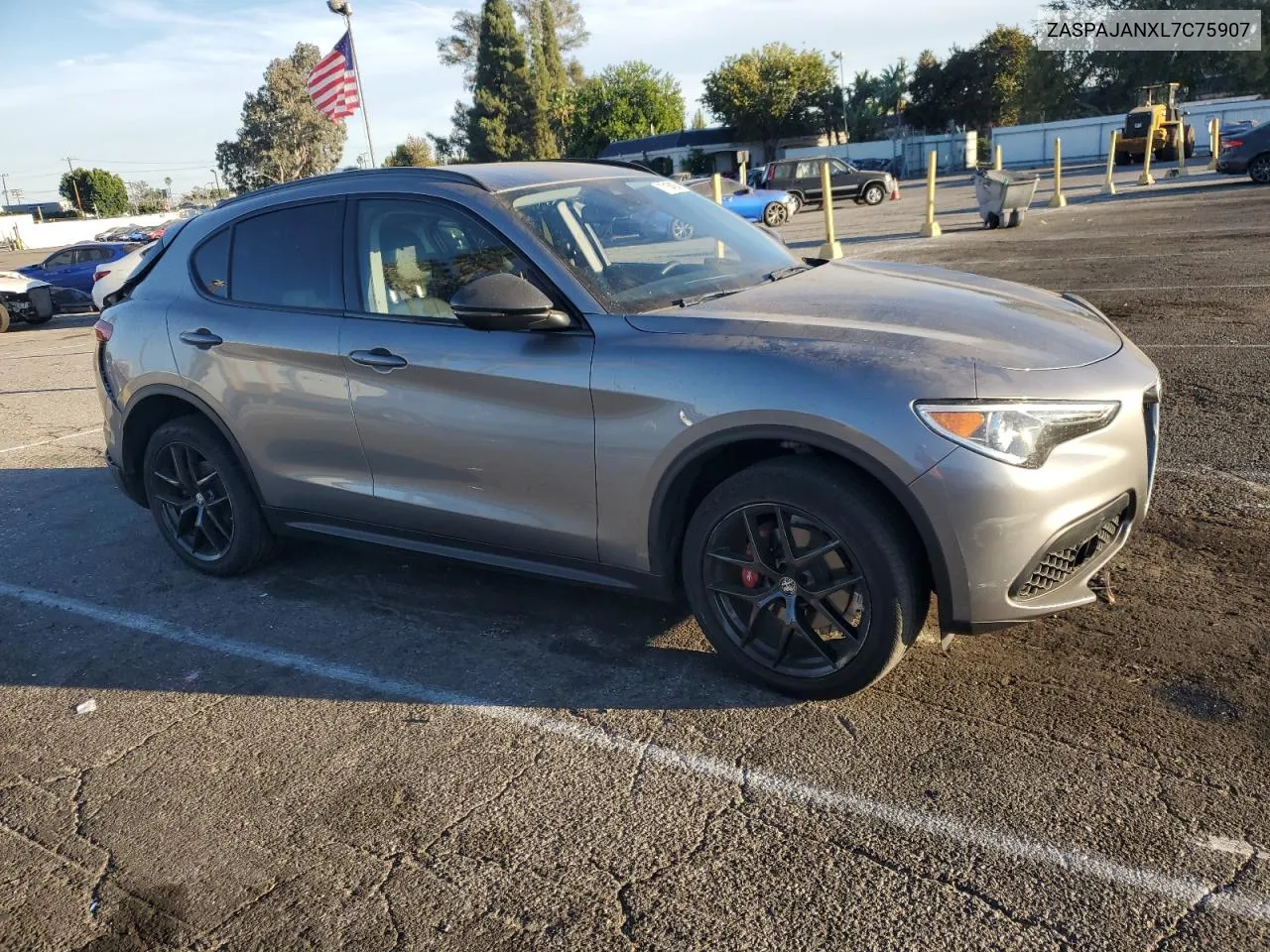 2020 Alfa Romeo Stelvio VIN: ZASPAJANXL7C75907 Lot: 77164204