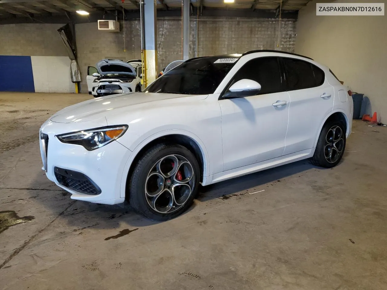 2021 Alfa Romeo Stelvio Ti VIN: ZASPAKBN0N7D12616 Lot: 74008004