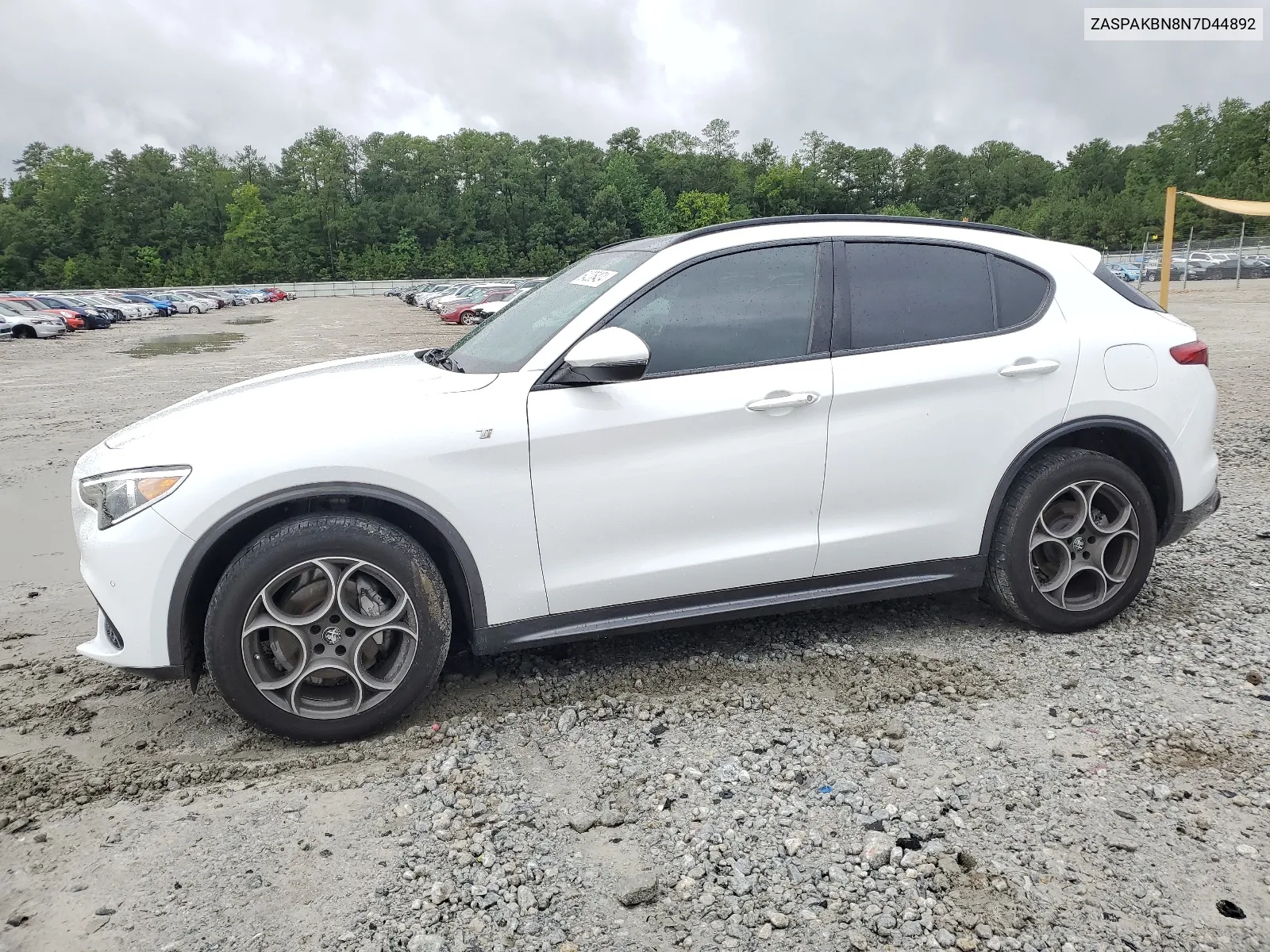 2022 Alfa Romeo Stelvio Ti VIN: ZASPAKBN8N7D44892 Lot: 64206424