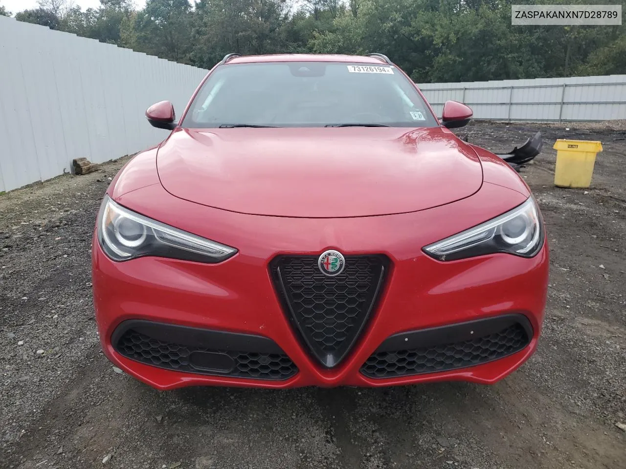 2022 Alfa Romeo Stelvio VIN: ZASPAKANXN7D28789 Lot: 73126194