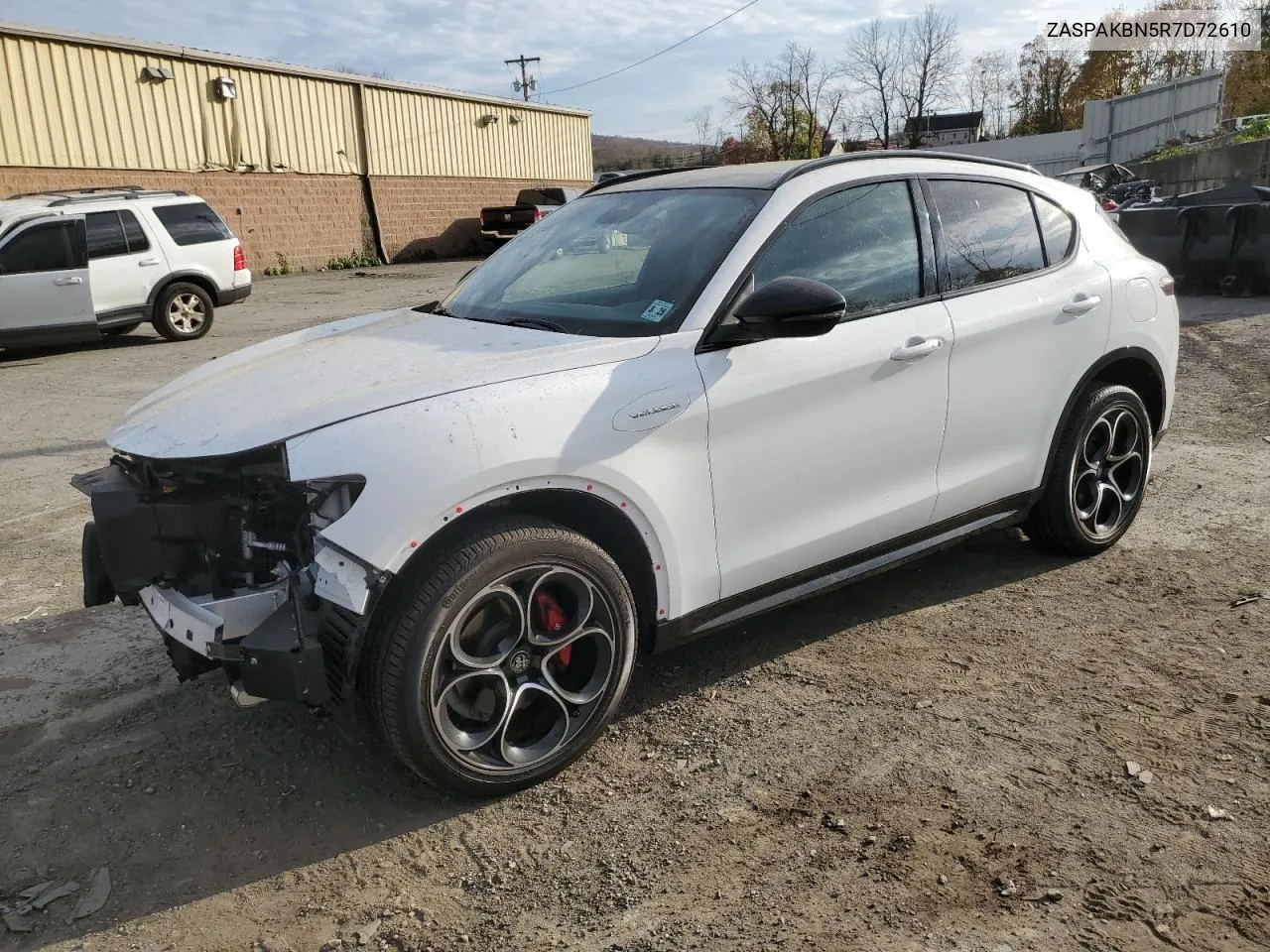 2024 Alfa Romeo Stelvio Ti VIN: ZASPAKBN5R7D72610 Lot: 79088954