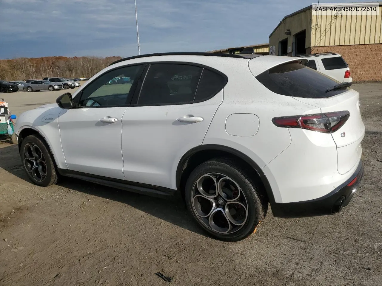 2024 Alfa Romeo Stelvio Ti VIN: ZASPAKBN5R7D72610 Lot: 79088954