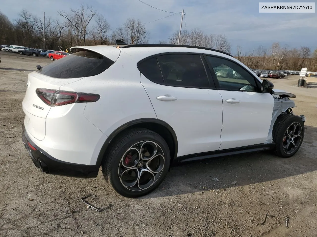 2024 Alfa Romeo Stelvio Ti VIN: ZASPAKBN5R7D72610 Lot: 79088954