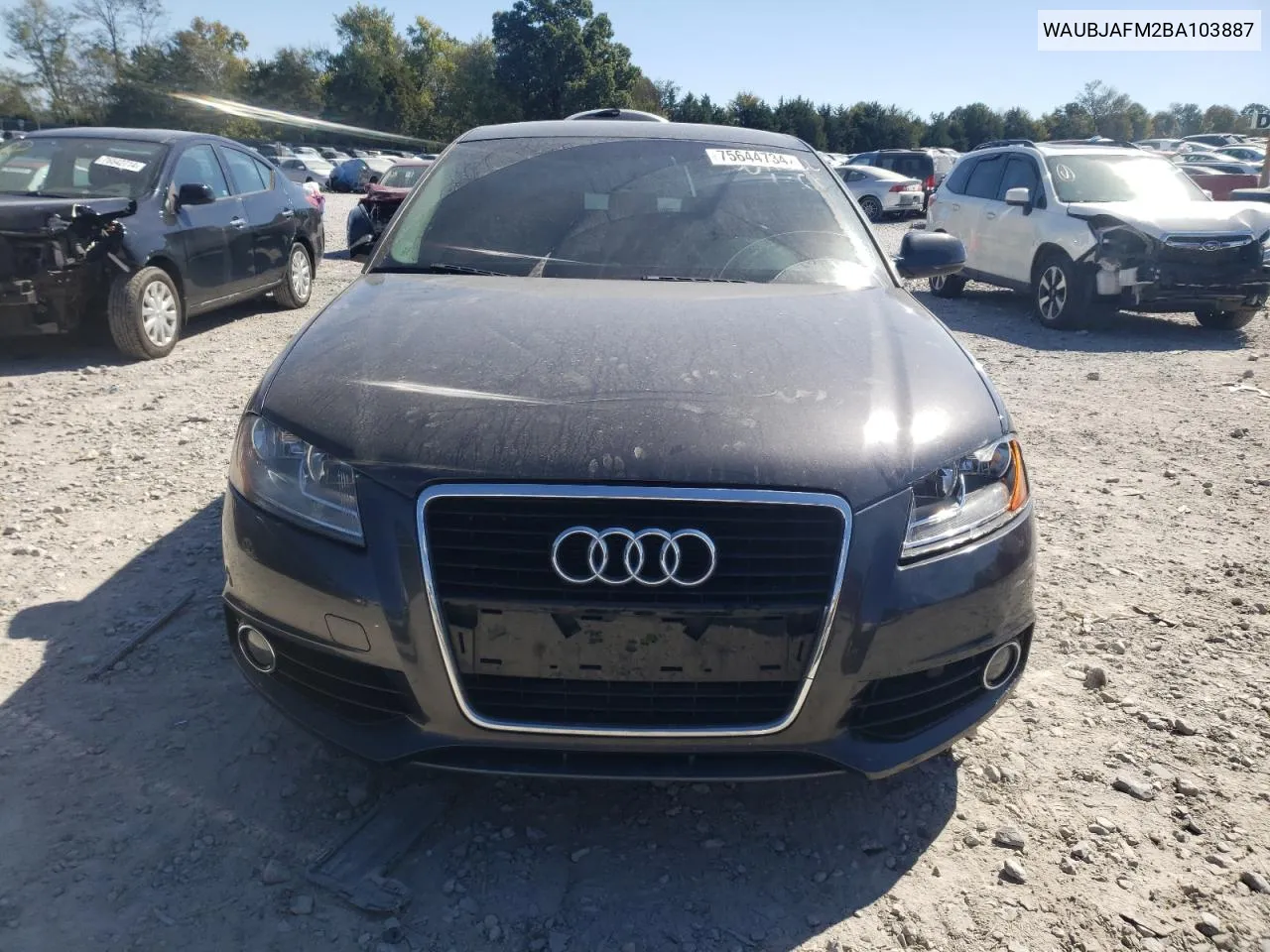 2011 Audi A3 Premium VIN: WAUBJAFM2BA103887 Lot: 75644734