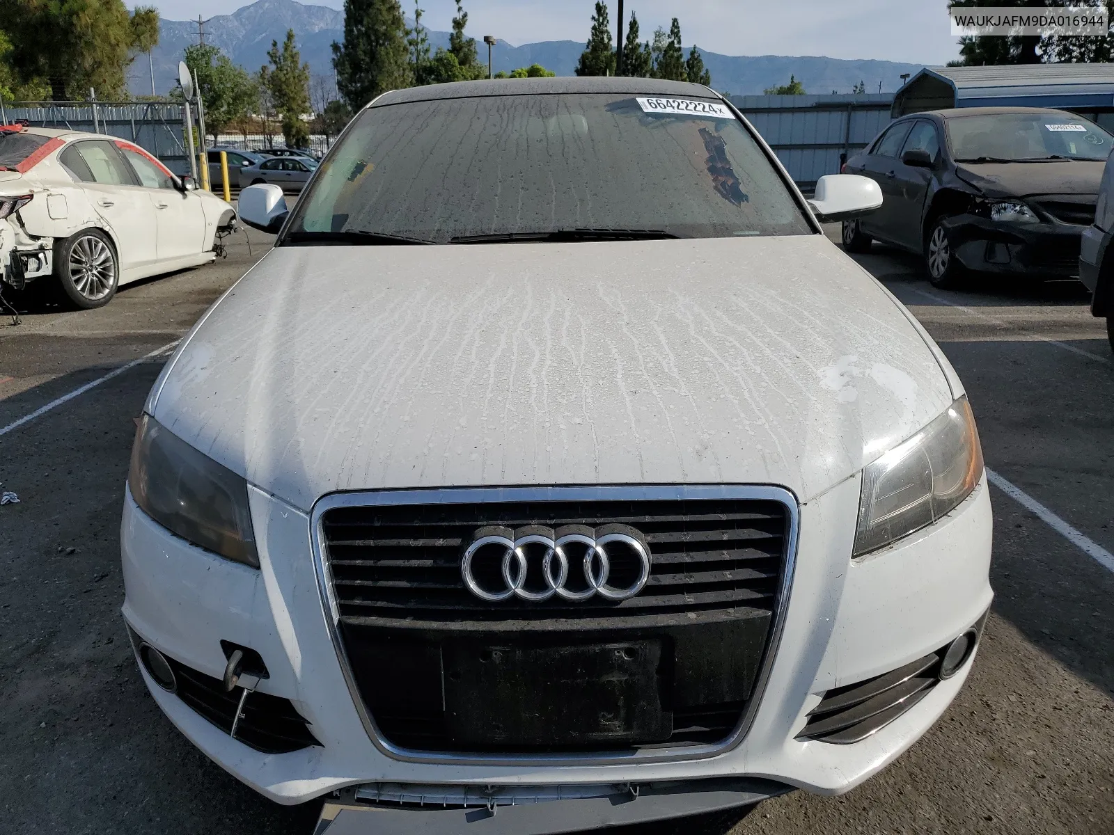 2013 Audi A3 Premium Plus VIN: WAUKJAFM9DA016944 Lot: 66422224