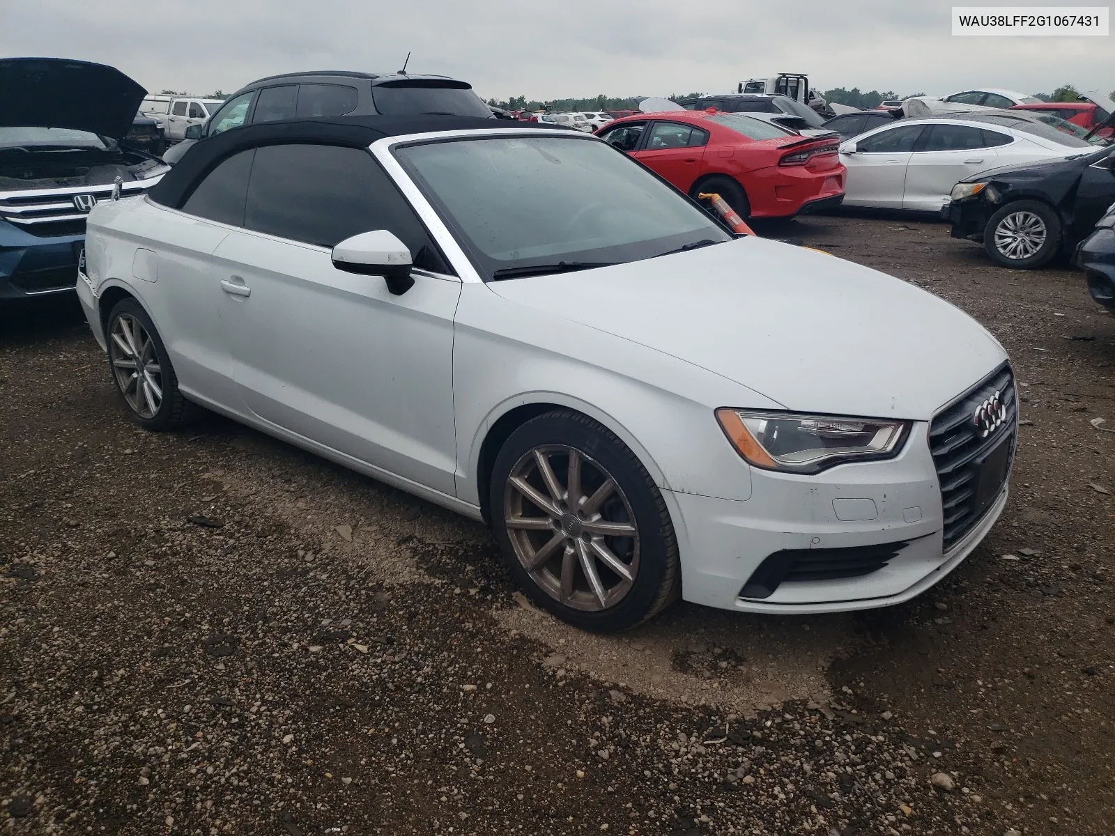 2016 Audi A3 Premium Plus VIN: WAU38LFF2G1067431 Lot: 67606644