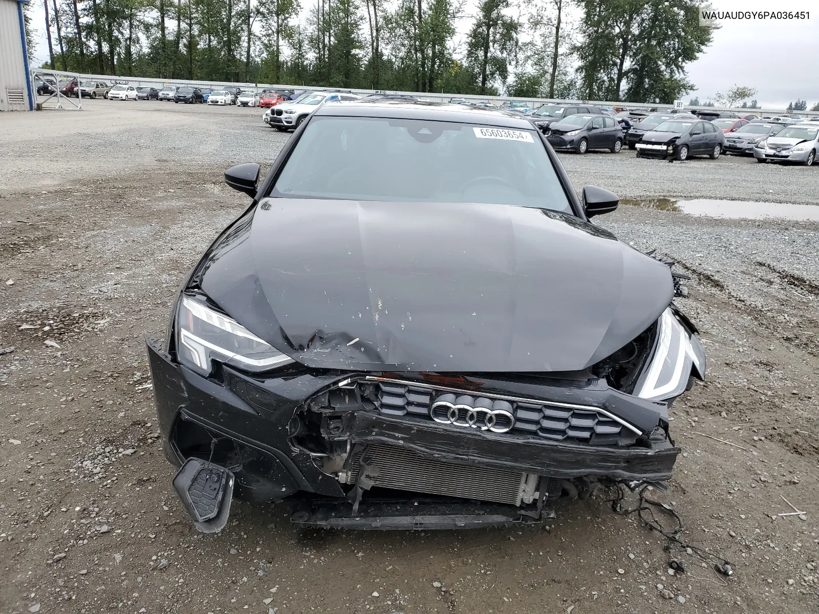 2023 Audi A3 Premium VIN: WAUAUDGY6PA036451 Lot: 65603654