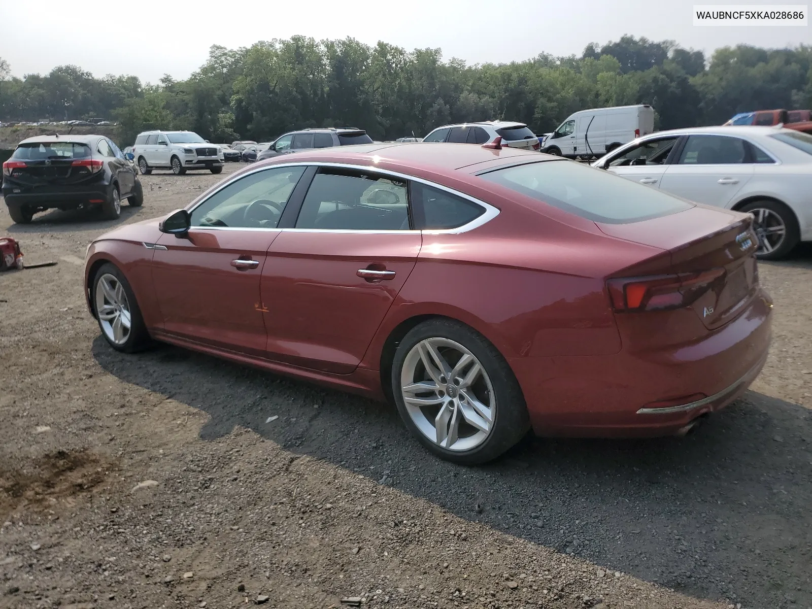 2019 Audi A5 Premium Plus VIN: WAUBNCF5XKA028686 Lot: 67661484