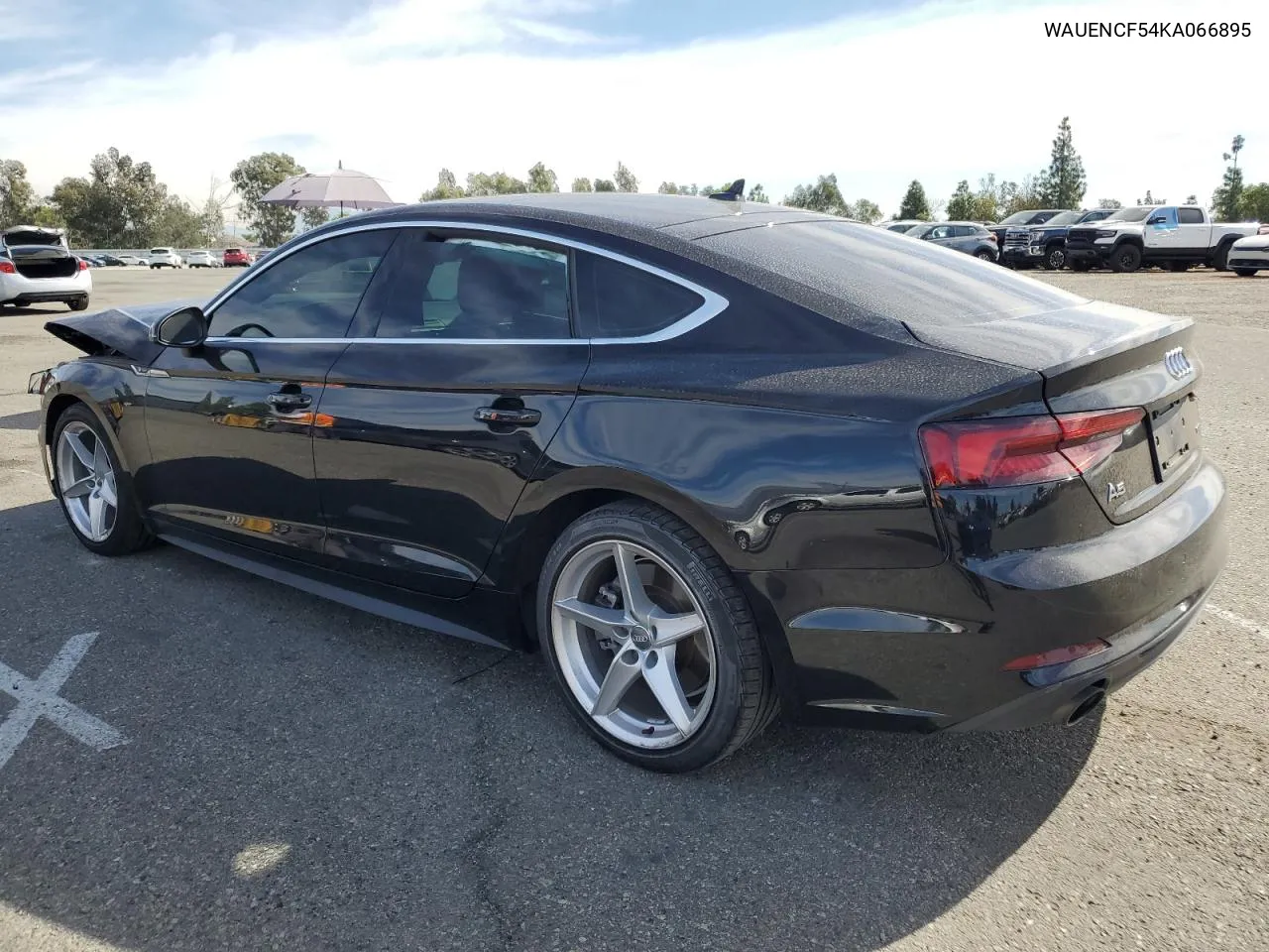 2019 Audi A5 Premium Plus S-Line VIN: WAUENCF54KA066895 Lot: 79297894