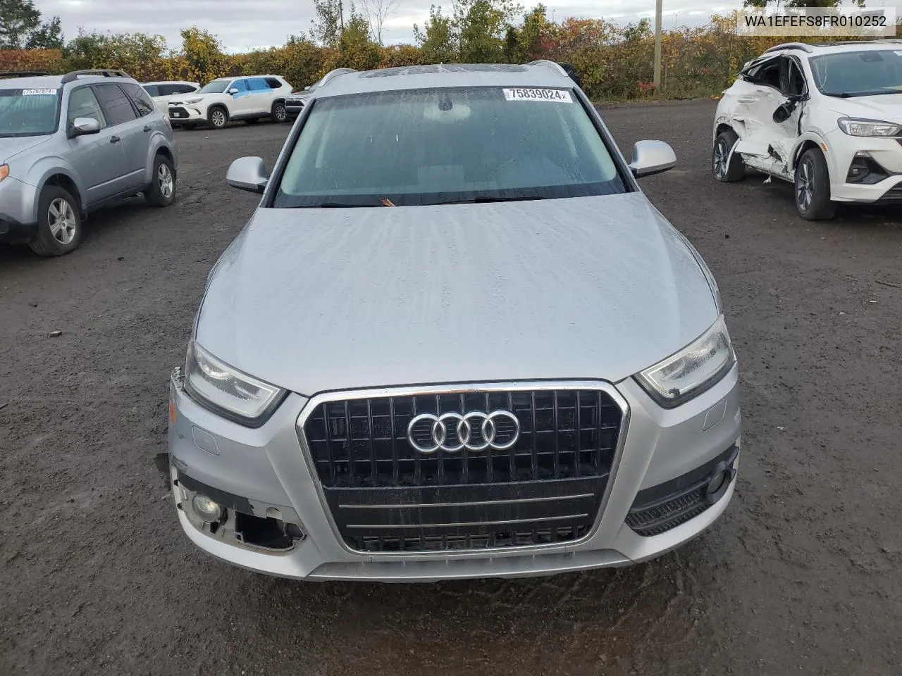 2015 Audi Q3 Premium Plus VIN: WA1EFEFS8FR010252 Lot: 75839024