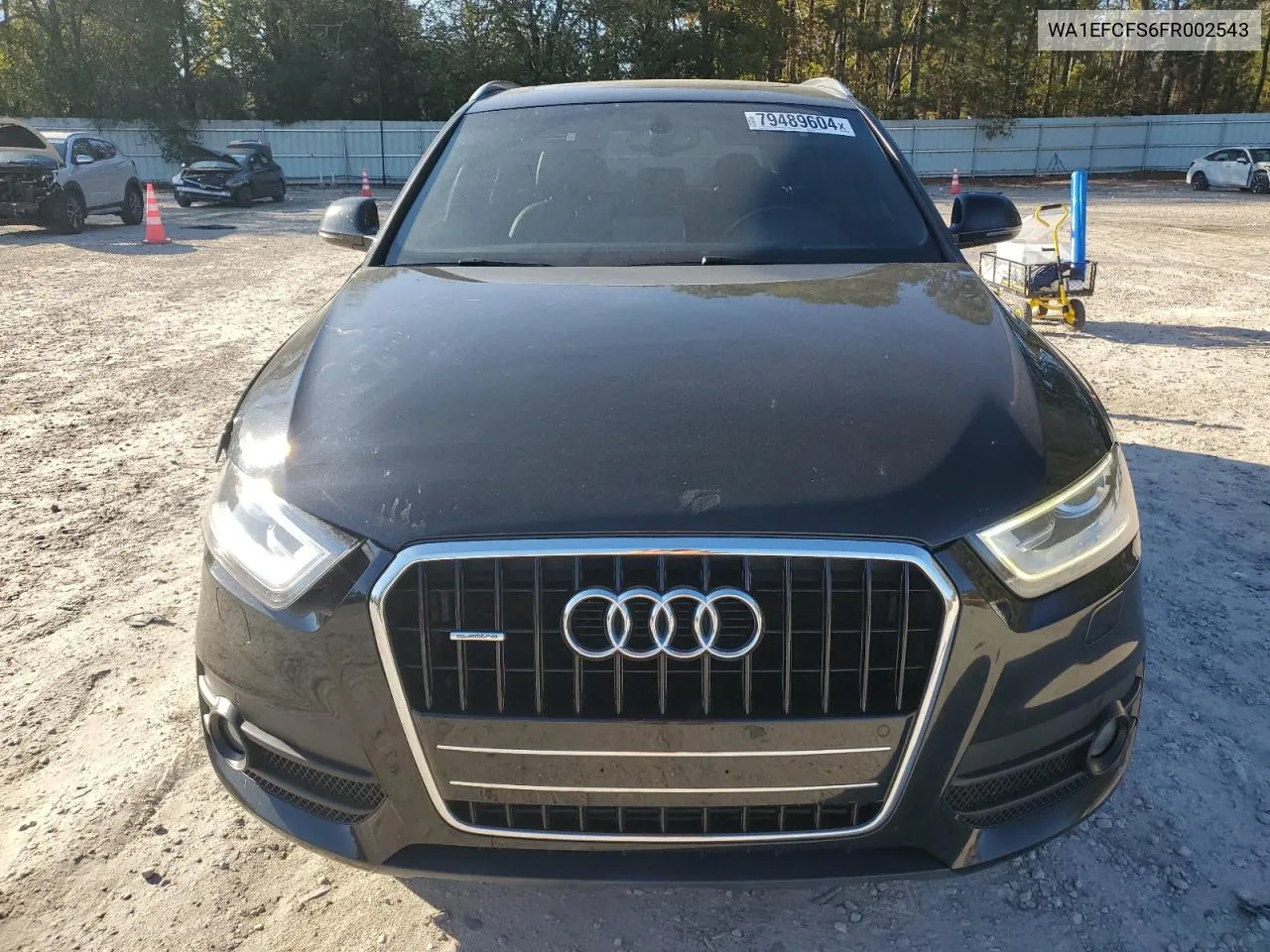 2015 Audi Q3 Premium Plus VIN: WA1EFCFS6FR002543 Lot: 79489604