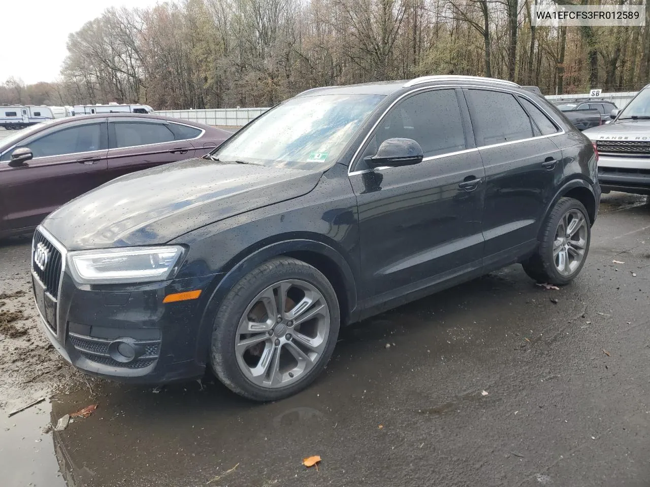 2015 Audi Q3 Premium Plus VIN: WA1EFCFS3FR012589 Lot: 79665954