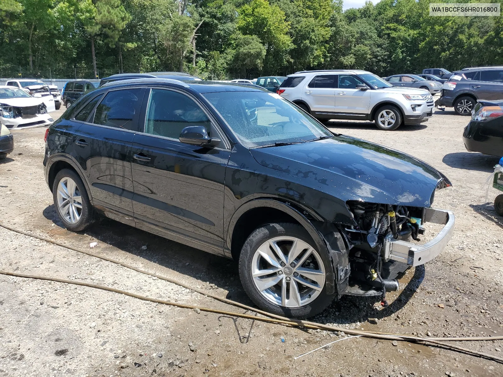 2017 Audi Q3 Premium VIN: WA1BCCFS6HR016800 Lot: 67355064