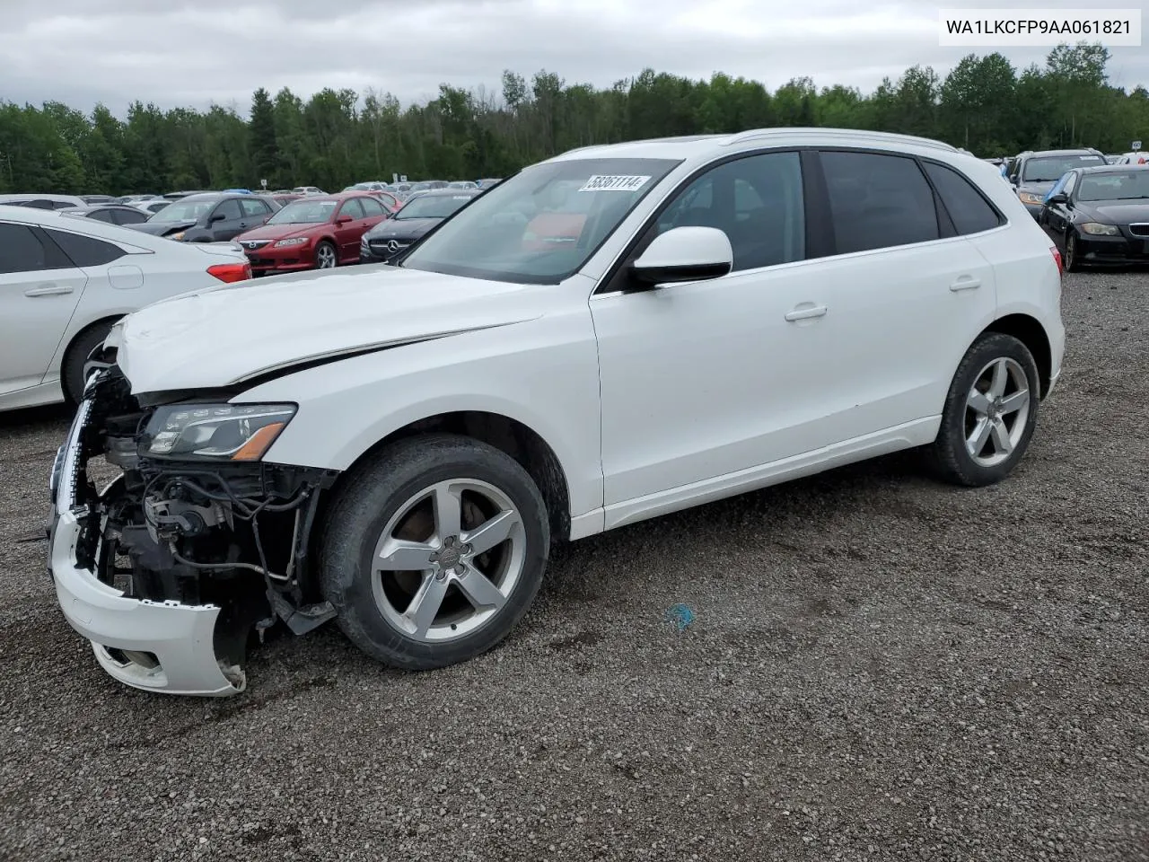 2010 Audi Q5 Premium Plus VIN: WA1LKCFP9AA061821 Lot: 58361114