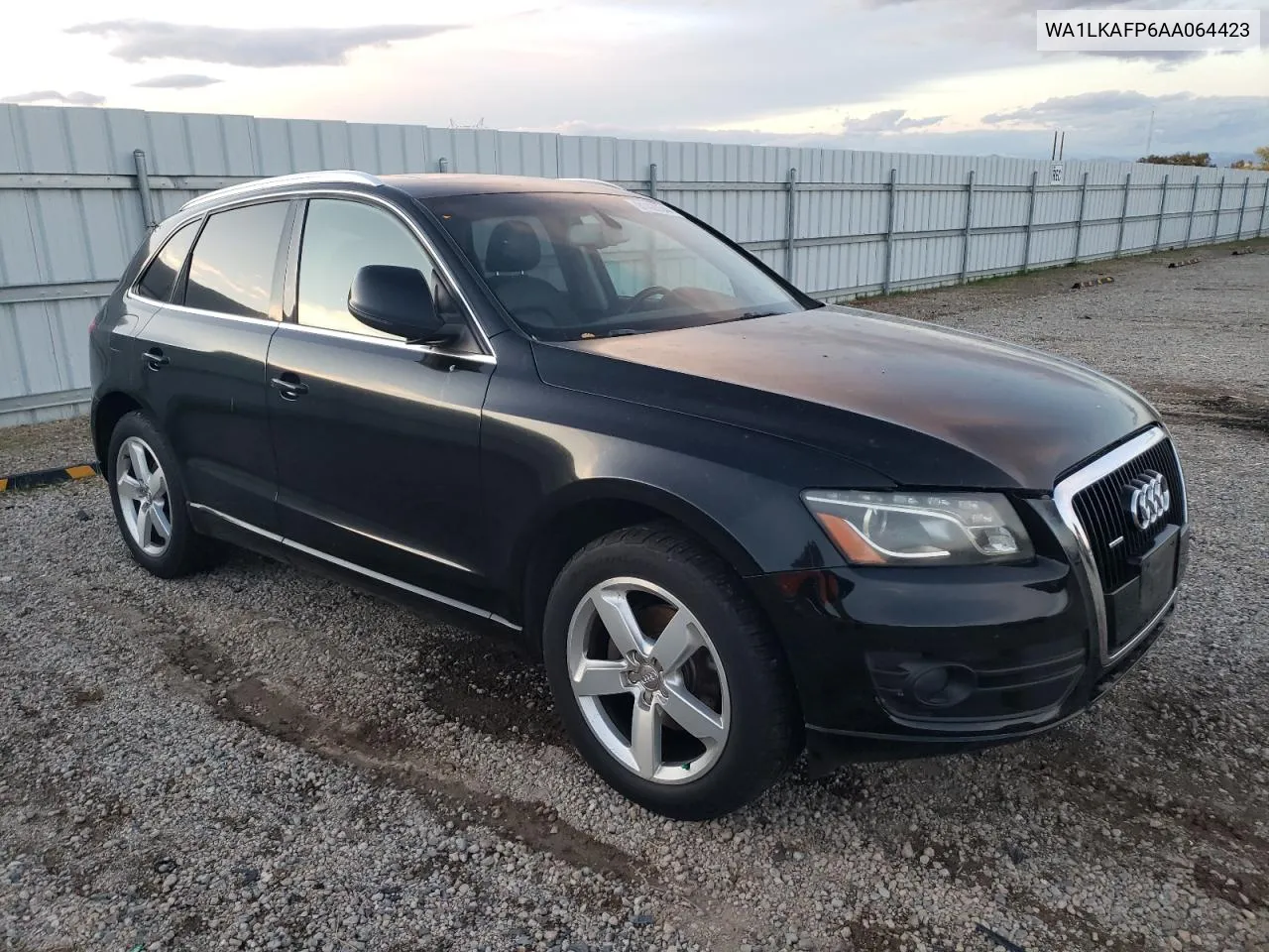 2010 Audi Q5 Premium Plus VIN: WA1LKAFP6AA064423 Lot: 81428544