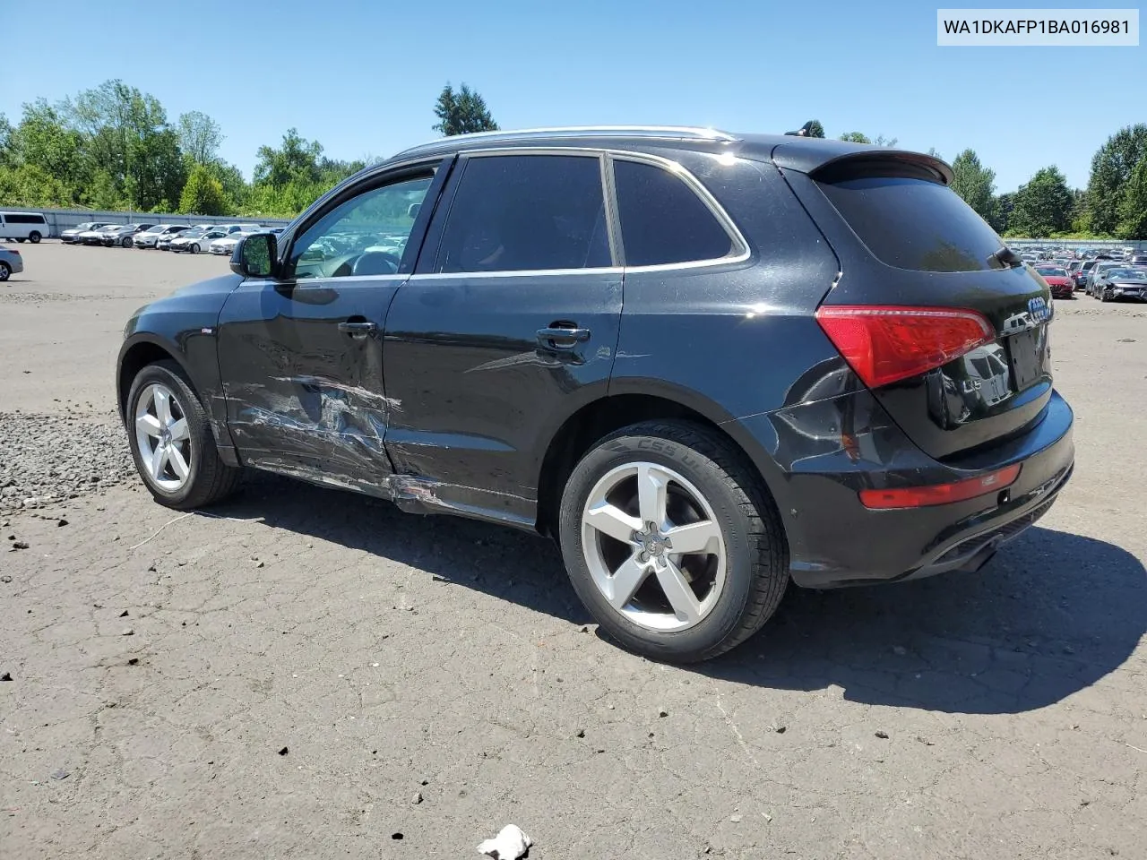 2011 Audi Q5 Premium Plus VIN: WA1DKAFP1BA016981 Lot: 62316564