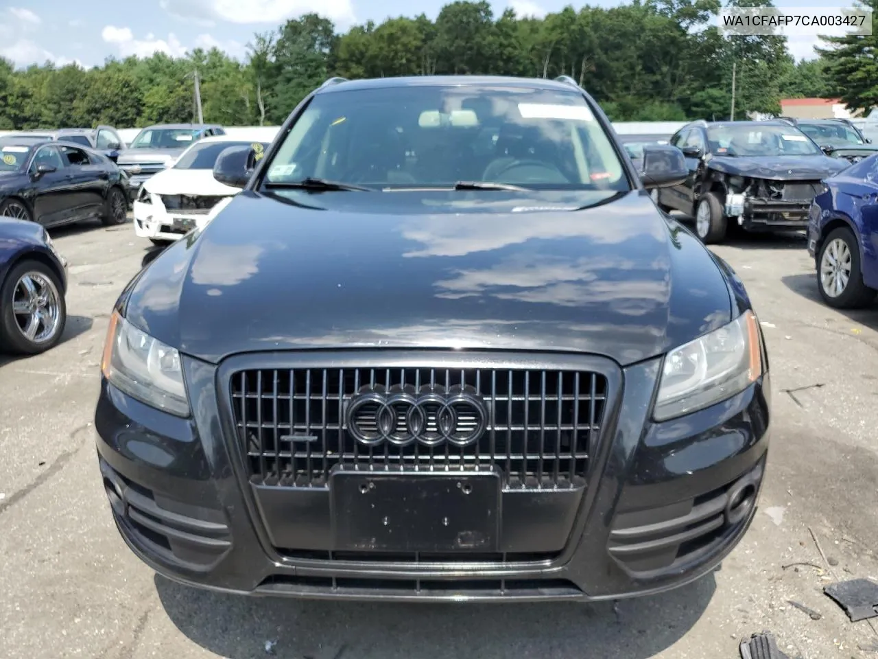 2012 Audi Q5 Premium VIN: WA1CFAFP7CA003427 Lot: 65979794