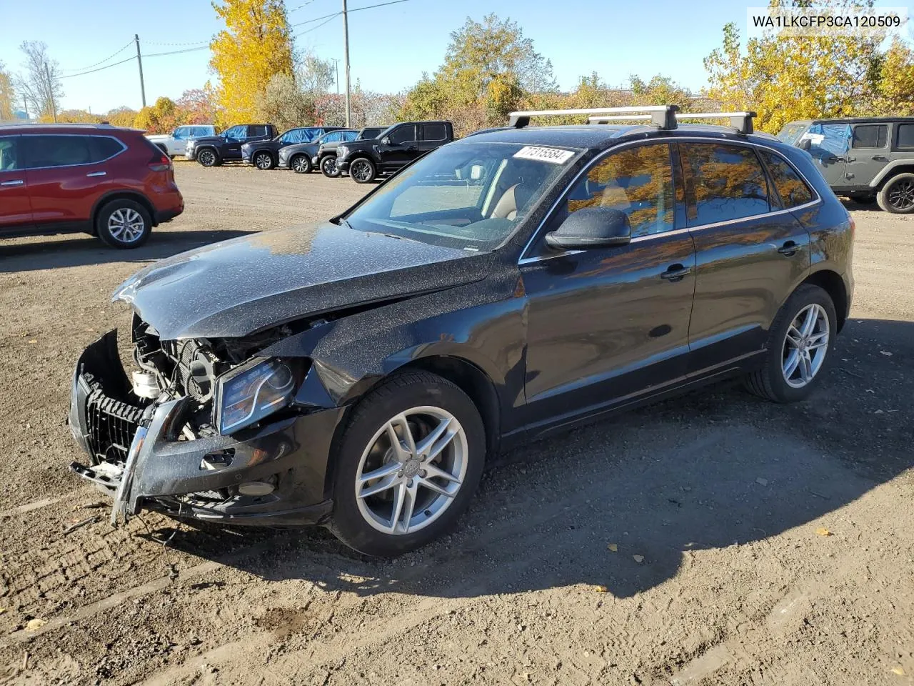 2012 Audi Q5 Premium Plus VIN: WA1LKCFP3CA120509 Lot: 77315584