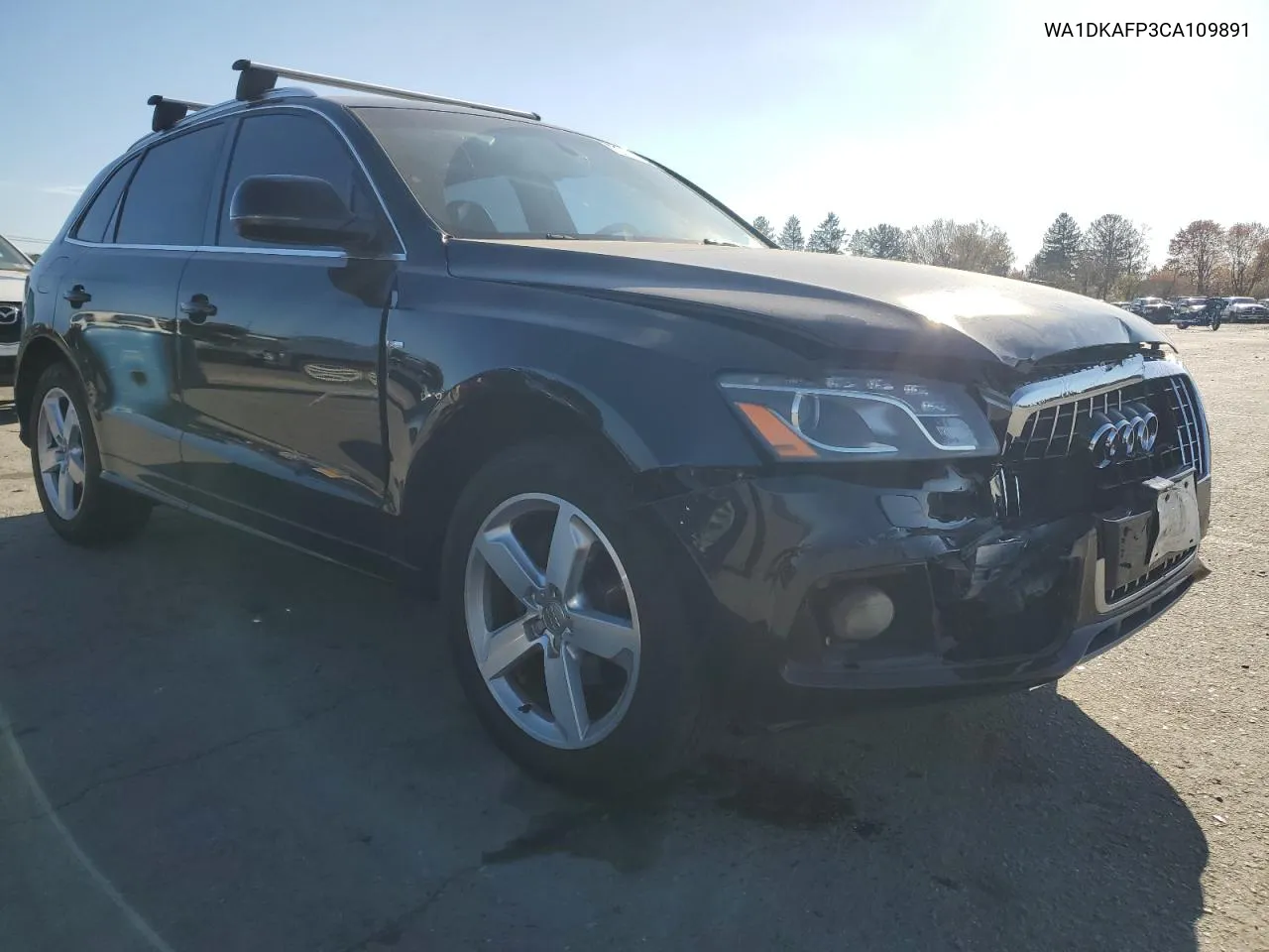 2012 Audi Q5 Premium Plus VIN: WA1DKAFP3CA109891 Lot: 79728254