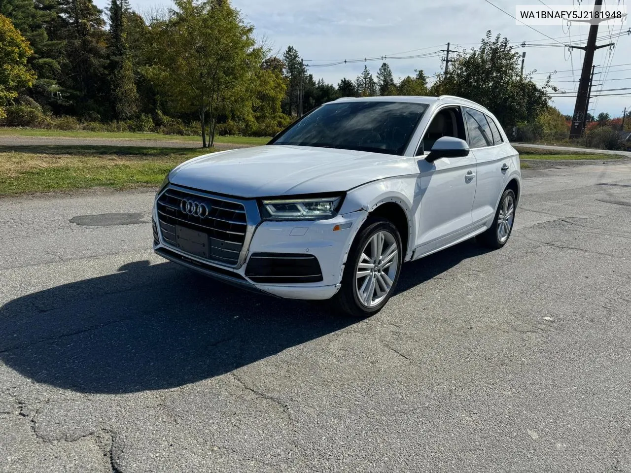 2018 Audi Q5 Premium Plus VIN: WA1BNAFY5J2181948 Lot: 76971104