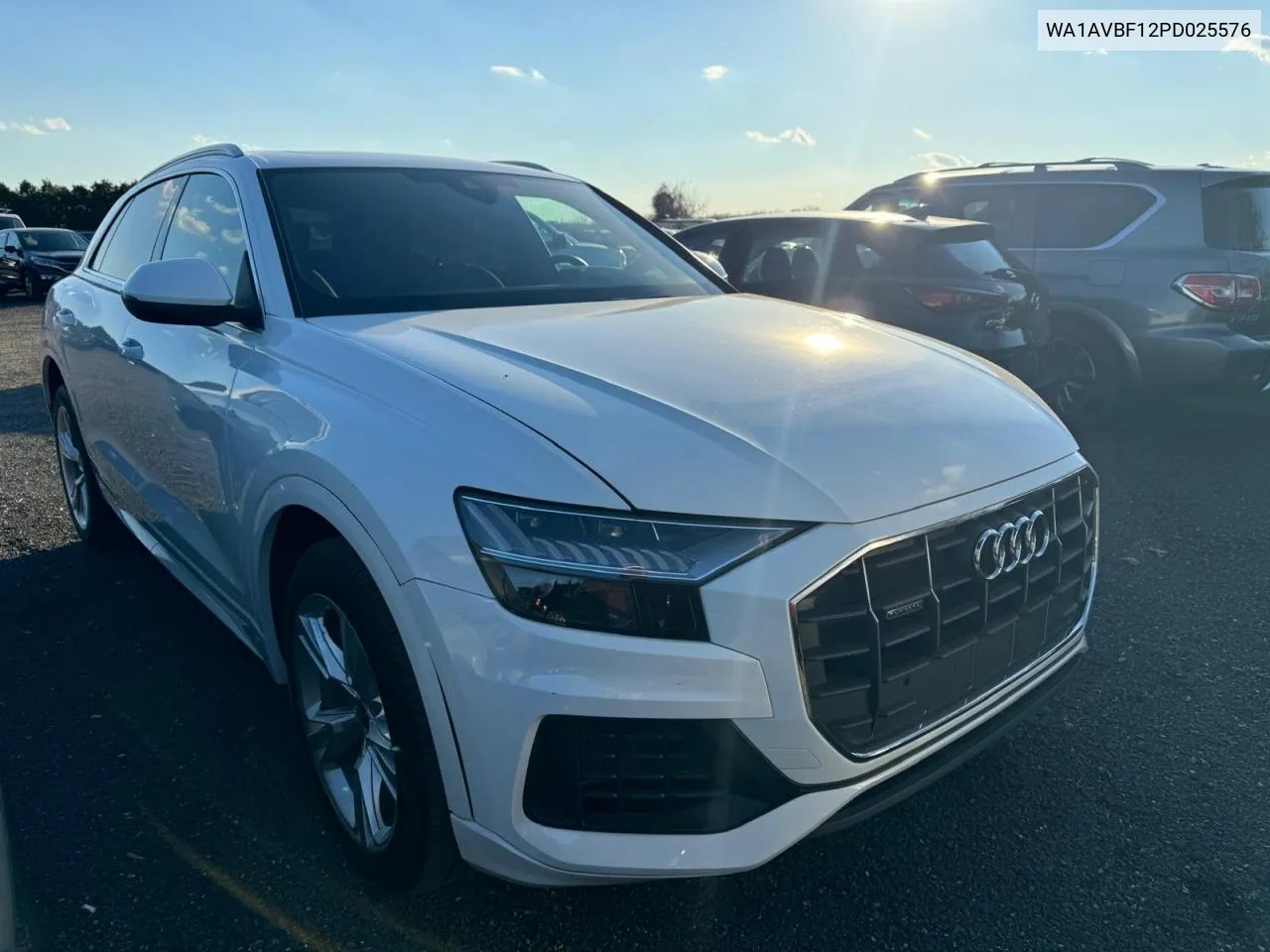 2023 Audi Q8 Premium VIN: WA1AVBF12PD025576 Lot: 81741434