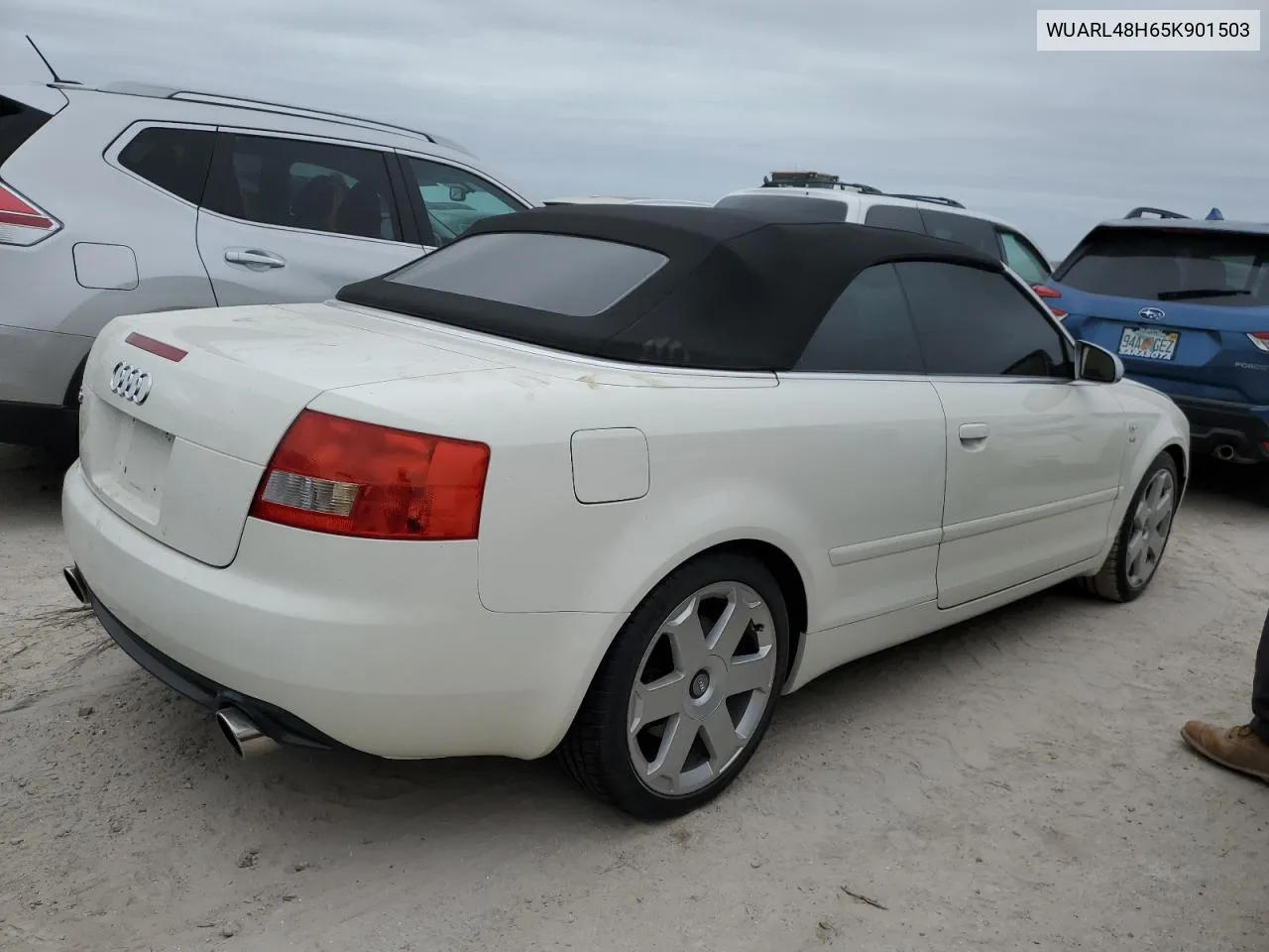 2005 Audi S4 Quattro Cabriolet VIN: WUARL48H65K901503 Lot: 76890114