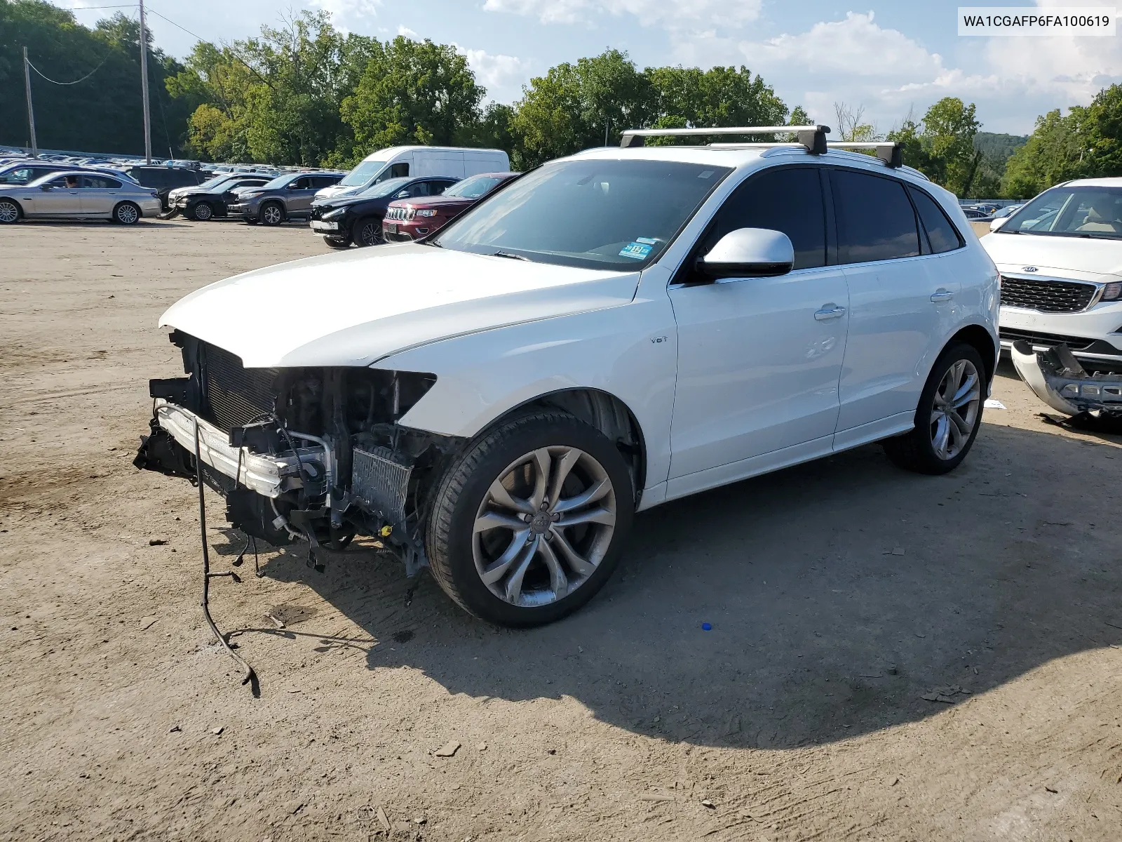 2015 Audi Sq5 Premium Plus VIN: WA1CGAFP6FA100619 Lot: 68613894