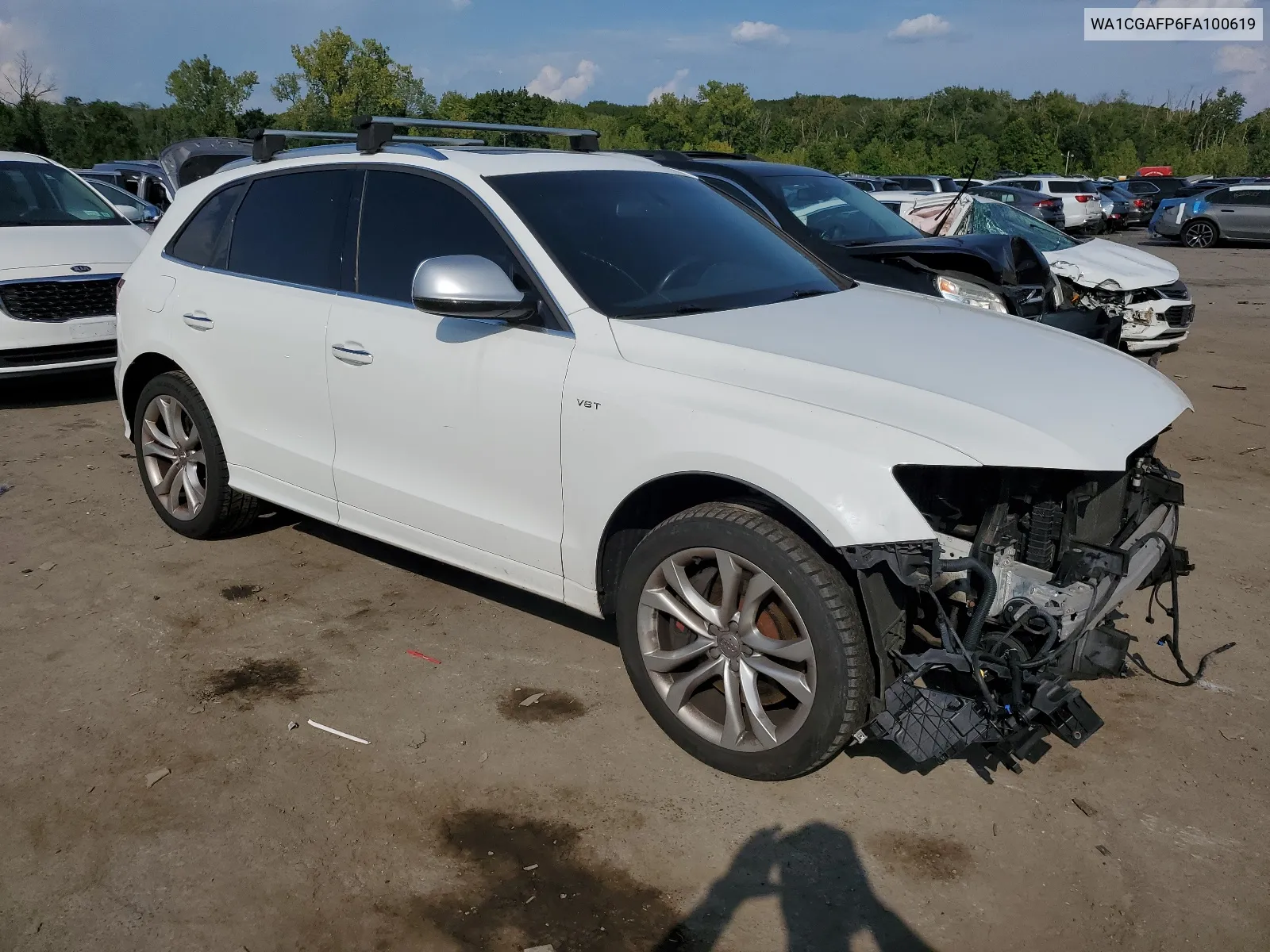 2015 Audi Sq5 Premium Plus VIN: WA1CGAFP6FA100619 Lot: 68613894