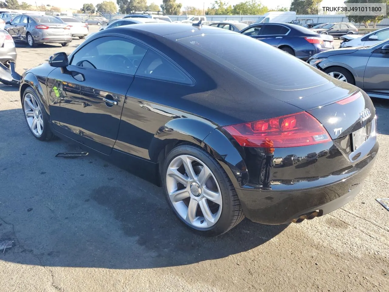 2009 Audi Tt VIN: TRUKF38J491011800 Lot: 77225474