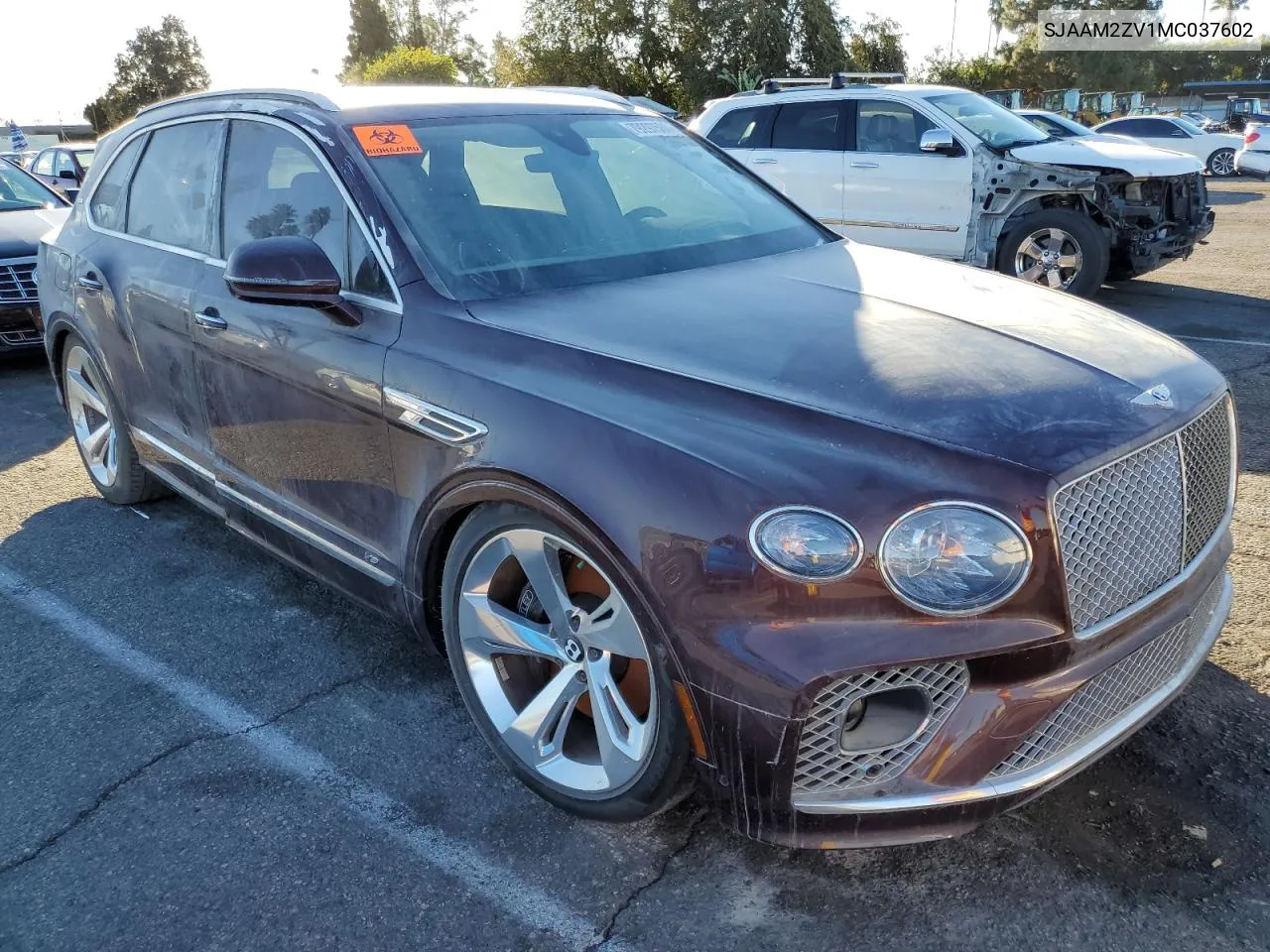 2021 Bentley Bentayga VIN: SJAAM2ZV1MC037602 Lot: 79297584