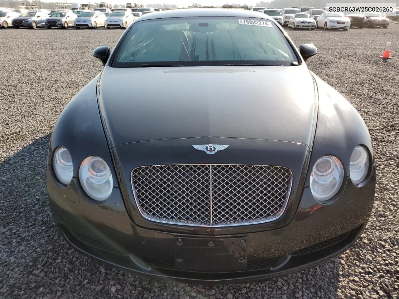 2005 Bentley Continental Gt VIN: SCBCR63W25C026260 Lot: 75802274