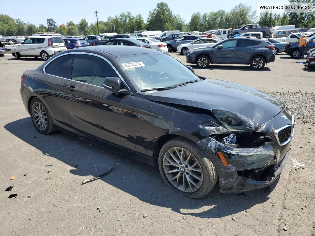 2016 BMW 228 I Sulev VIN: WBA1F9C50GV546435 Lot: 62720254