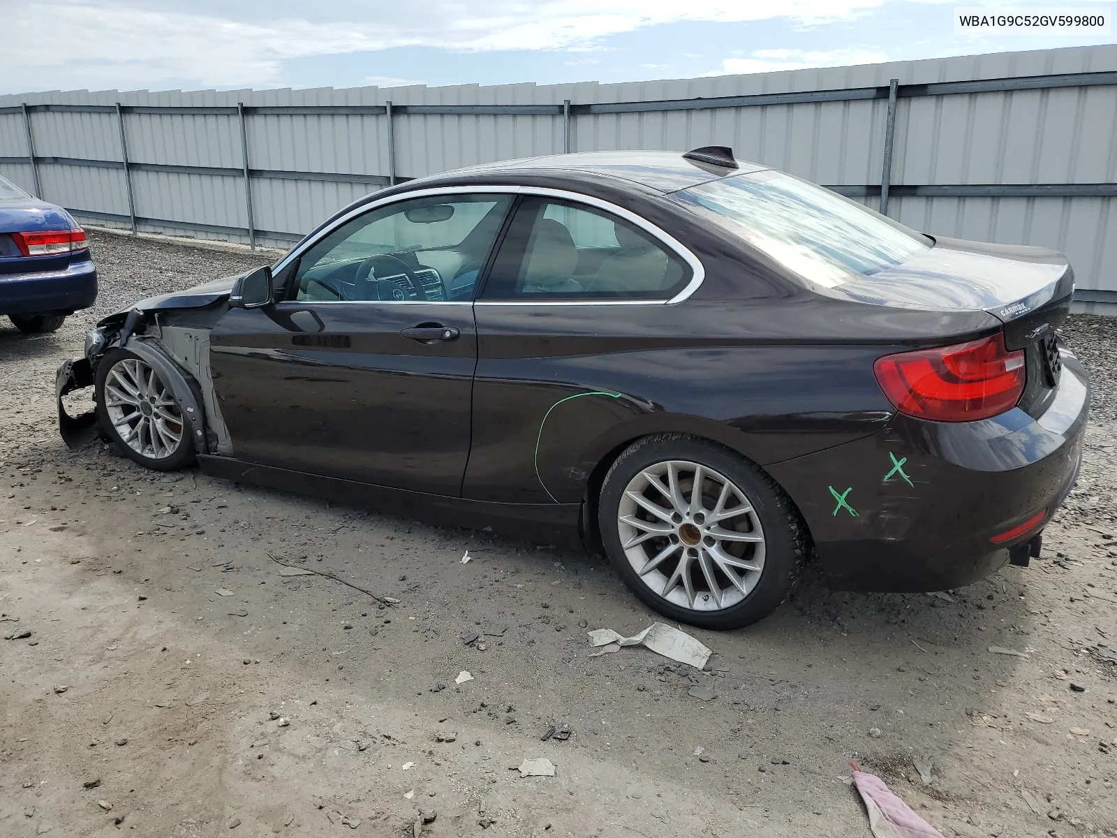 2016 BMW 228 Xi Sulev VIN: WBA1G9C52GV599800 Lot: 66748884