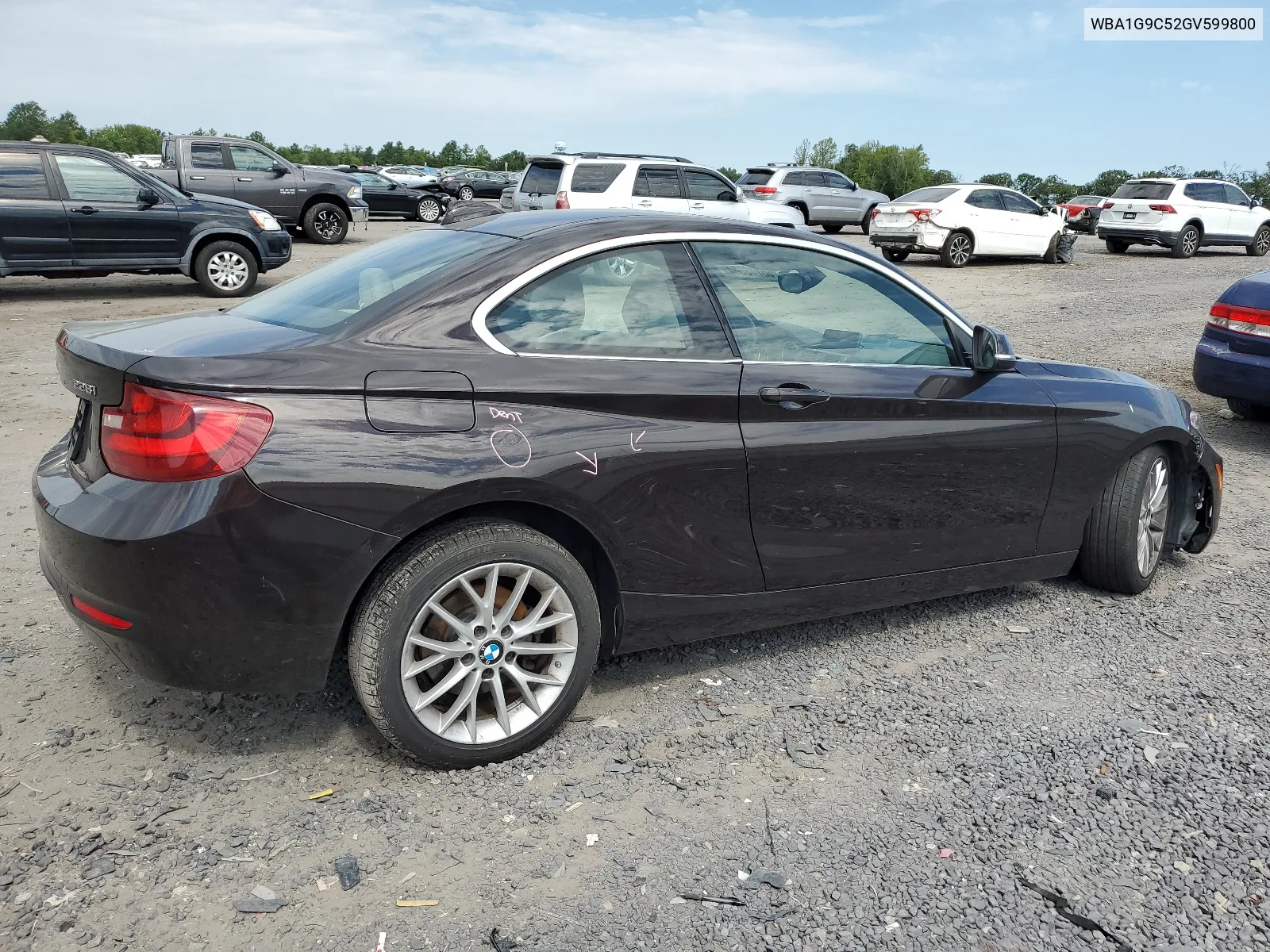 2016 BMW 228 Xi Sulev VIN: WBA1G9C52GV599800 Lot: 66748884