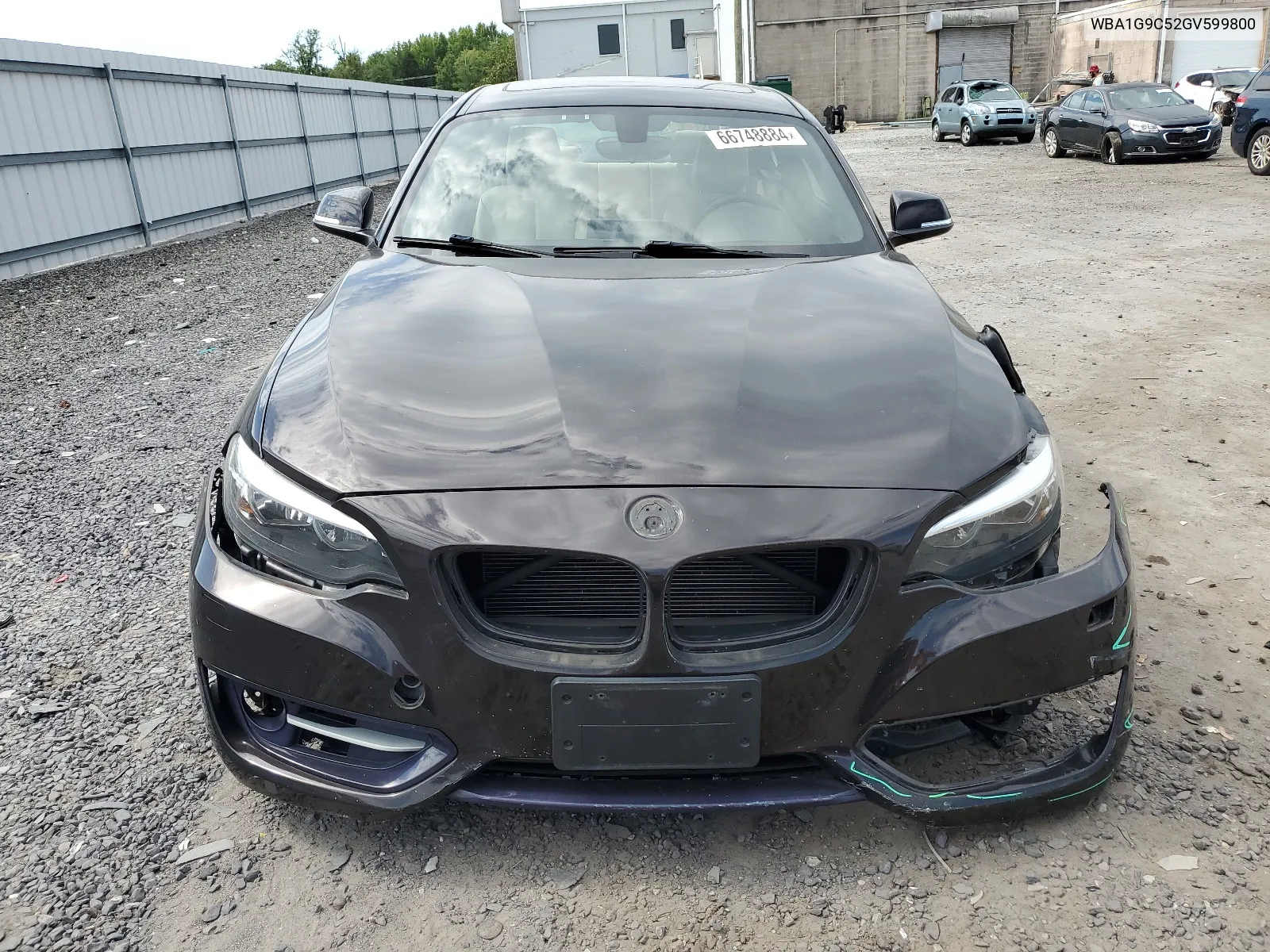 2016 BMW 228 Xi Sulev VIN: WBA1G9C52GV599800 Lot: 66748884