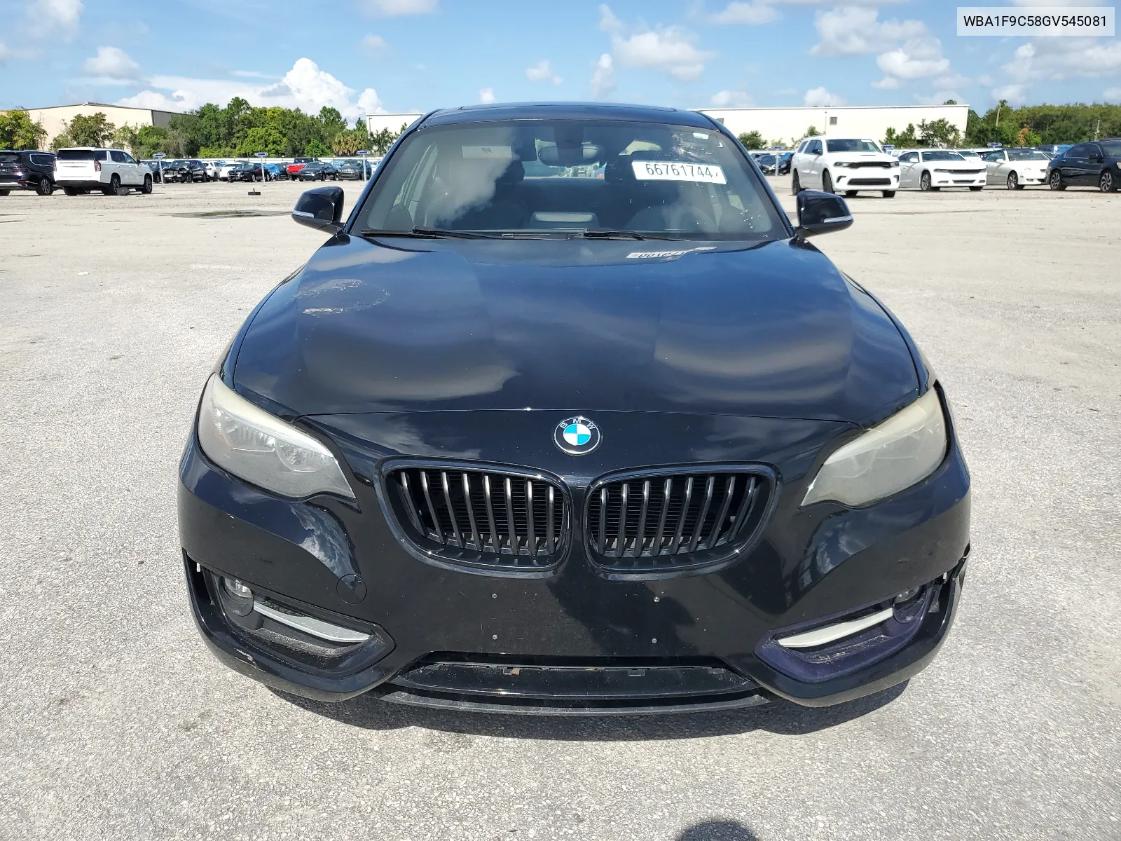 2016 BMW 228 I Sulev VIN: WBA1F9C58GV545081 Lot: 66761744