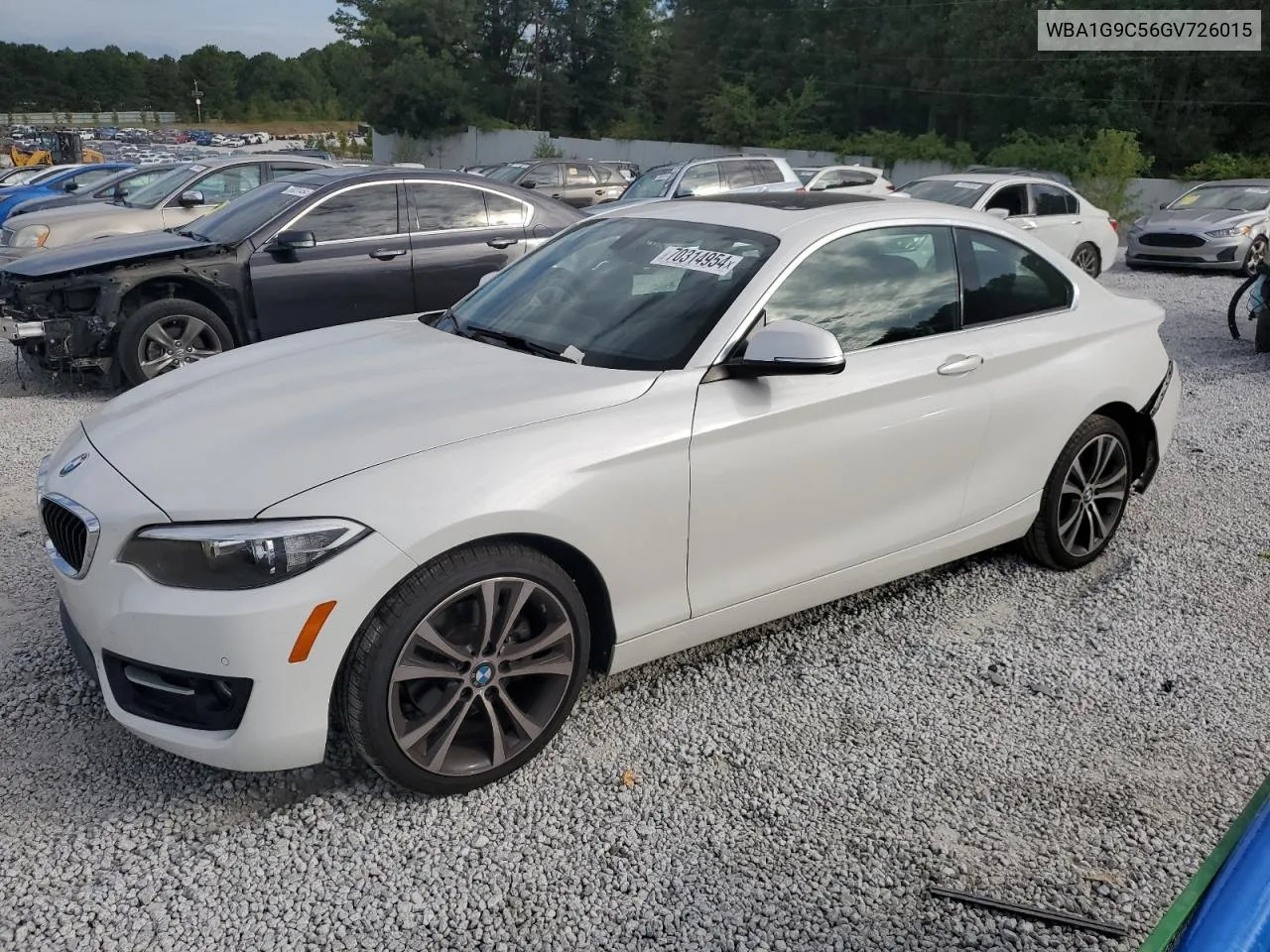 2016 BMW 228 Xi Sulev VIN: WBA1G9C56GV726015 Lot: 70314954