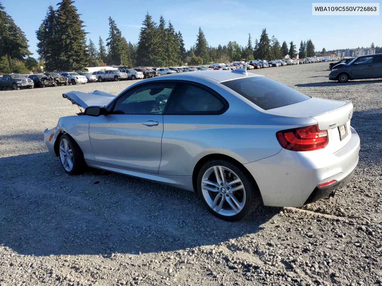 WBA1G9C55GV726863 2016 BMW 228 Xi Sulev