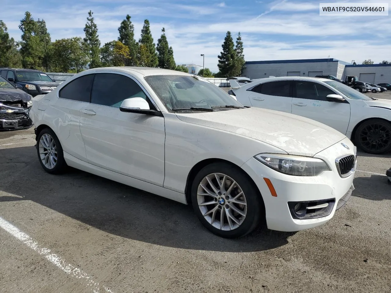 2016 BMW 228 I Sulev VIN: WBA1F9C52GV546601 Lot: 75871894