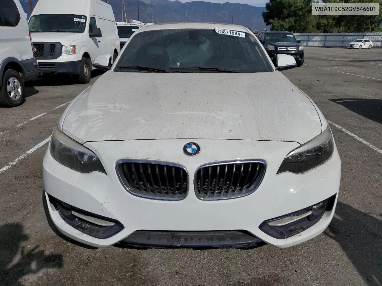 2016 BMW 228 I Sulev VIN: WBA1F9C52GV546601 Lot: 75871894