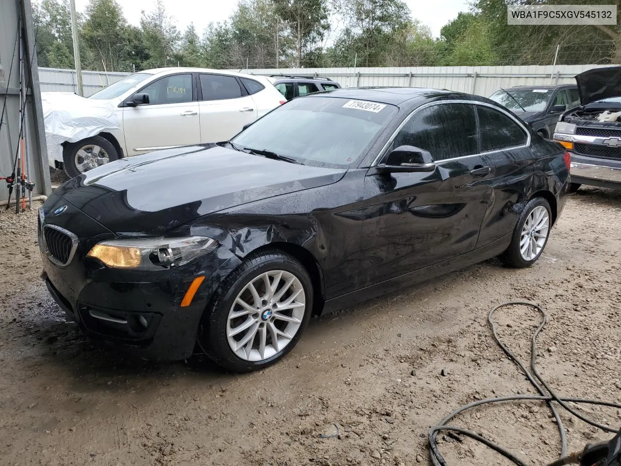 2016 BMW 228 I Sulev VIN: WBA1F9C5XGV545132 Lot: 77943074