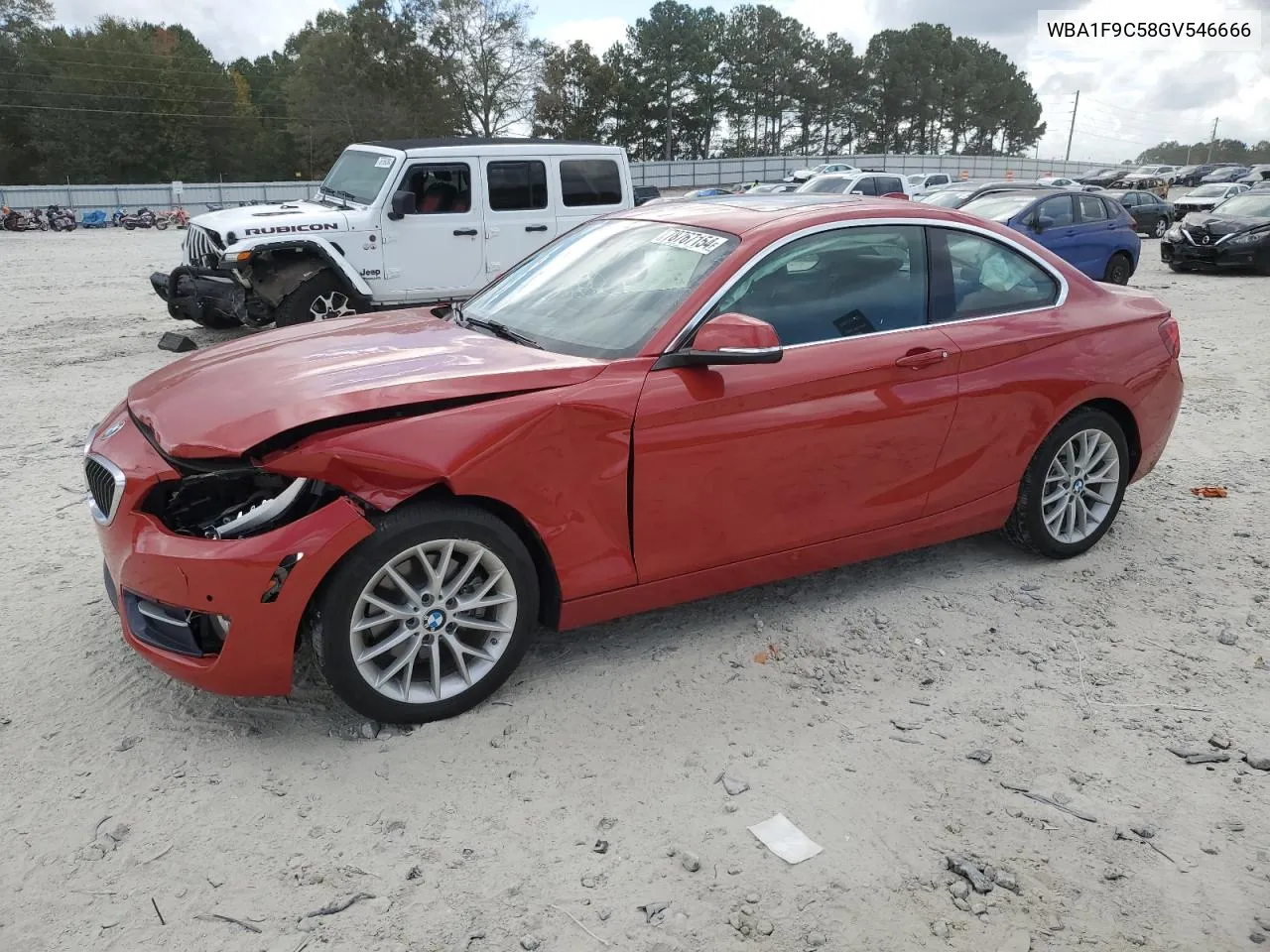 2016 BMW 228 I Sulev VIN: WBA1F9C58GV546666 Lot: 78767154